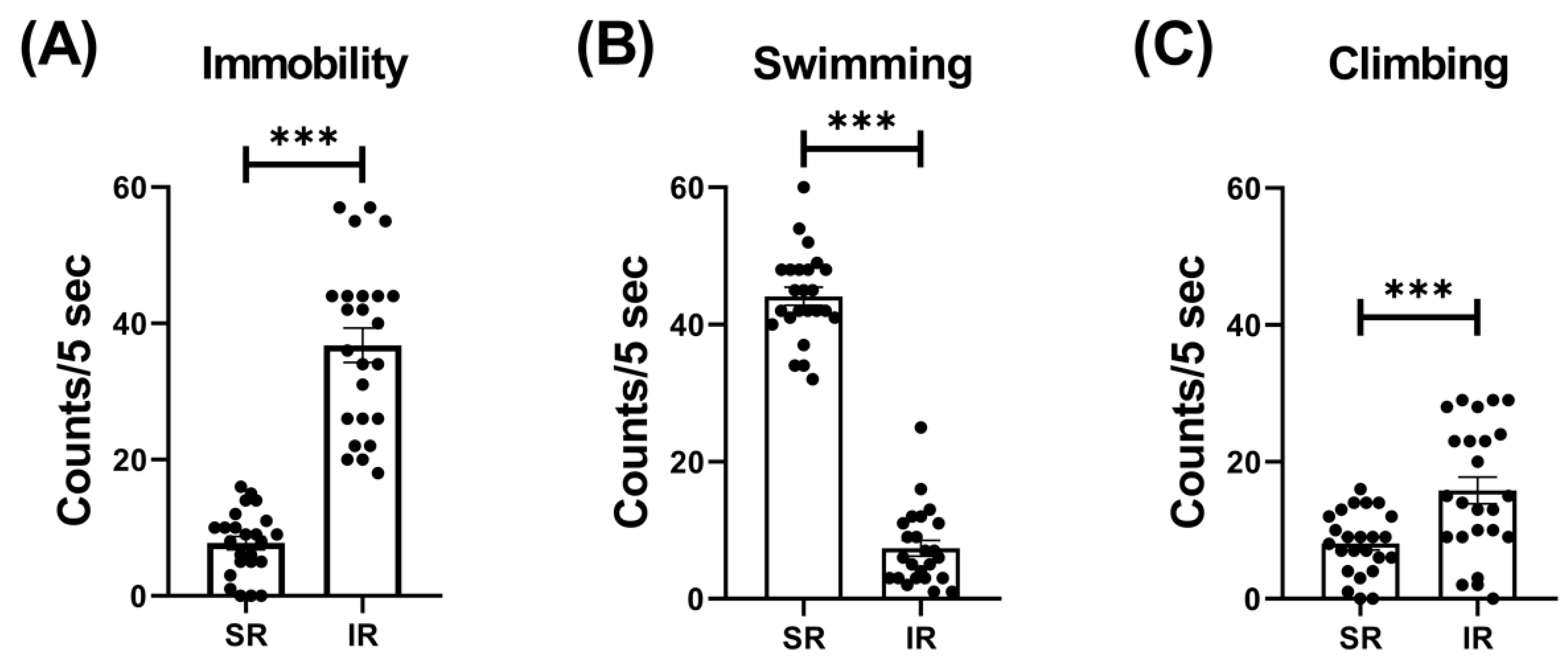 Pharmaceuticals 17 00717 g002