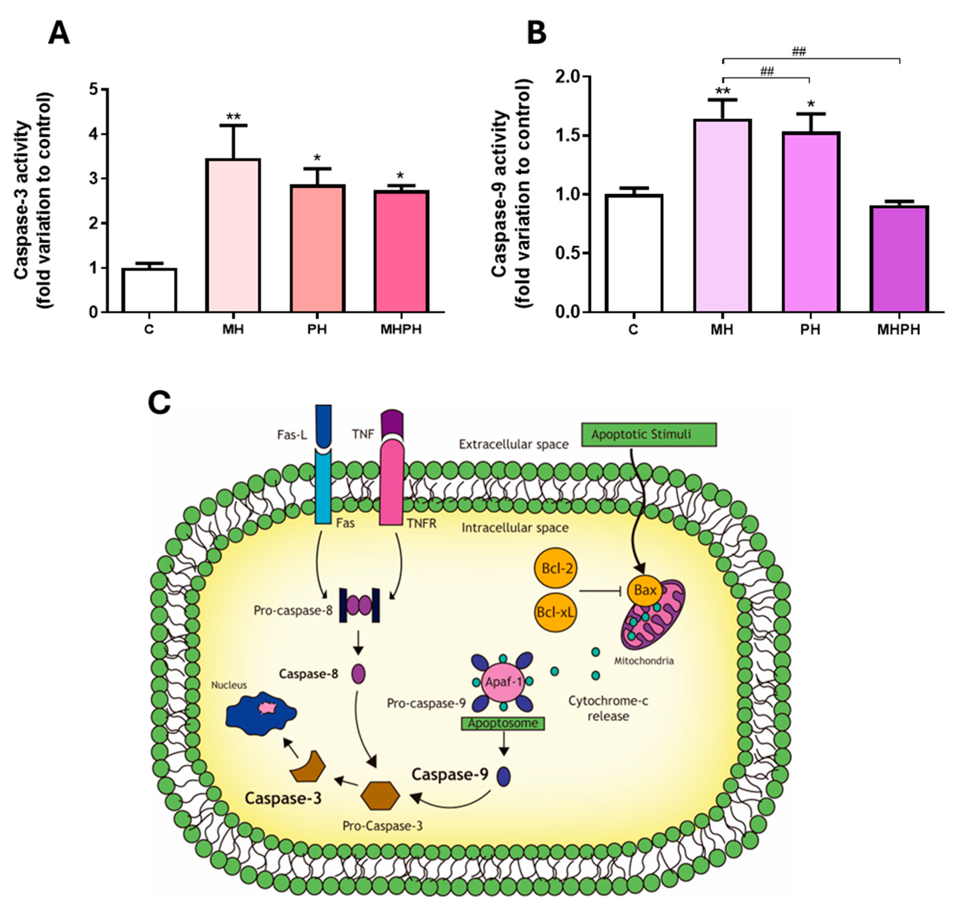 Pharmaceuticals 17 00719 g001