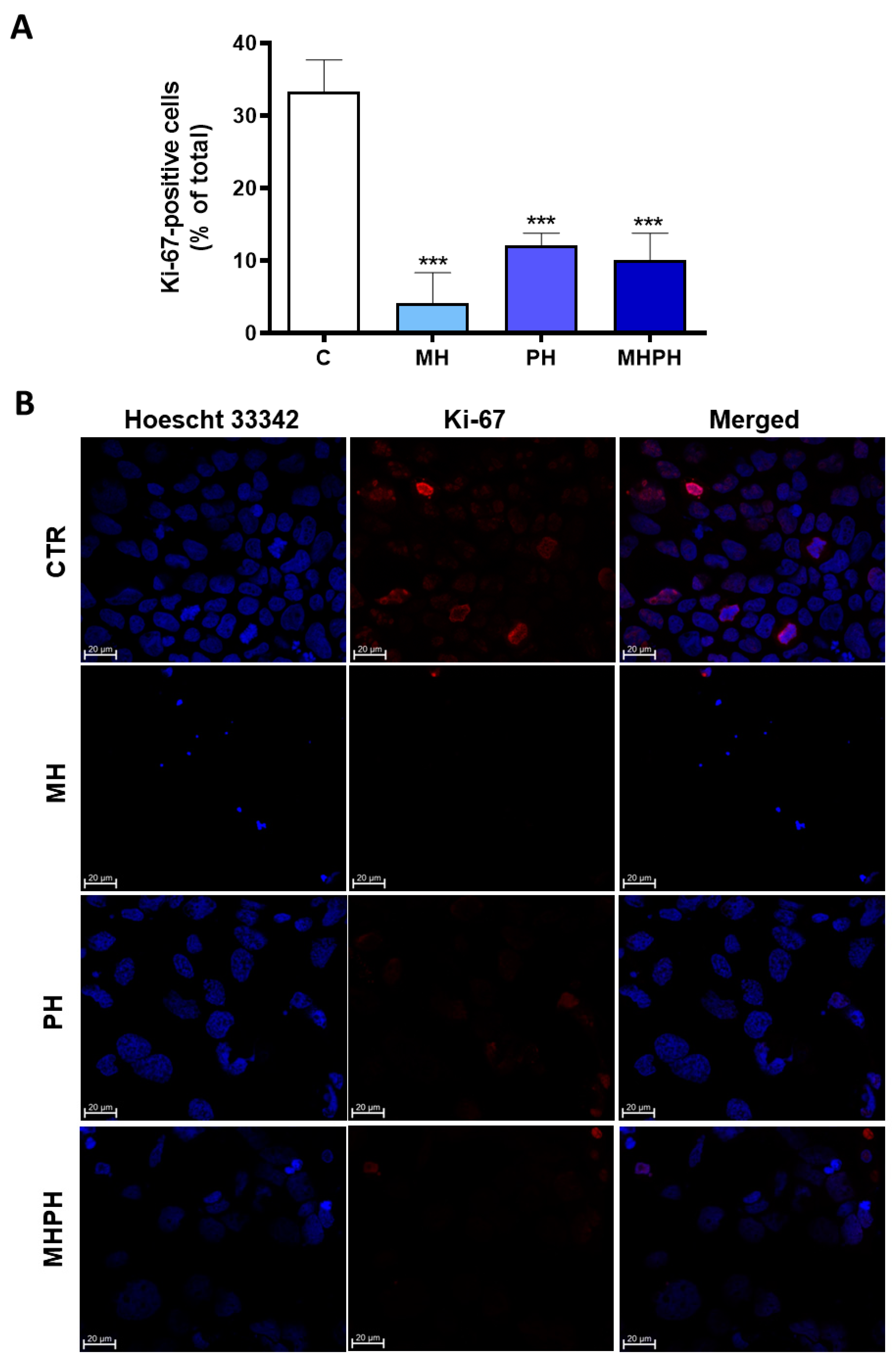 Pharmaceuticals 17 00719 g002