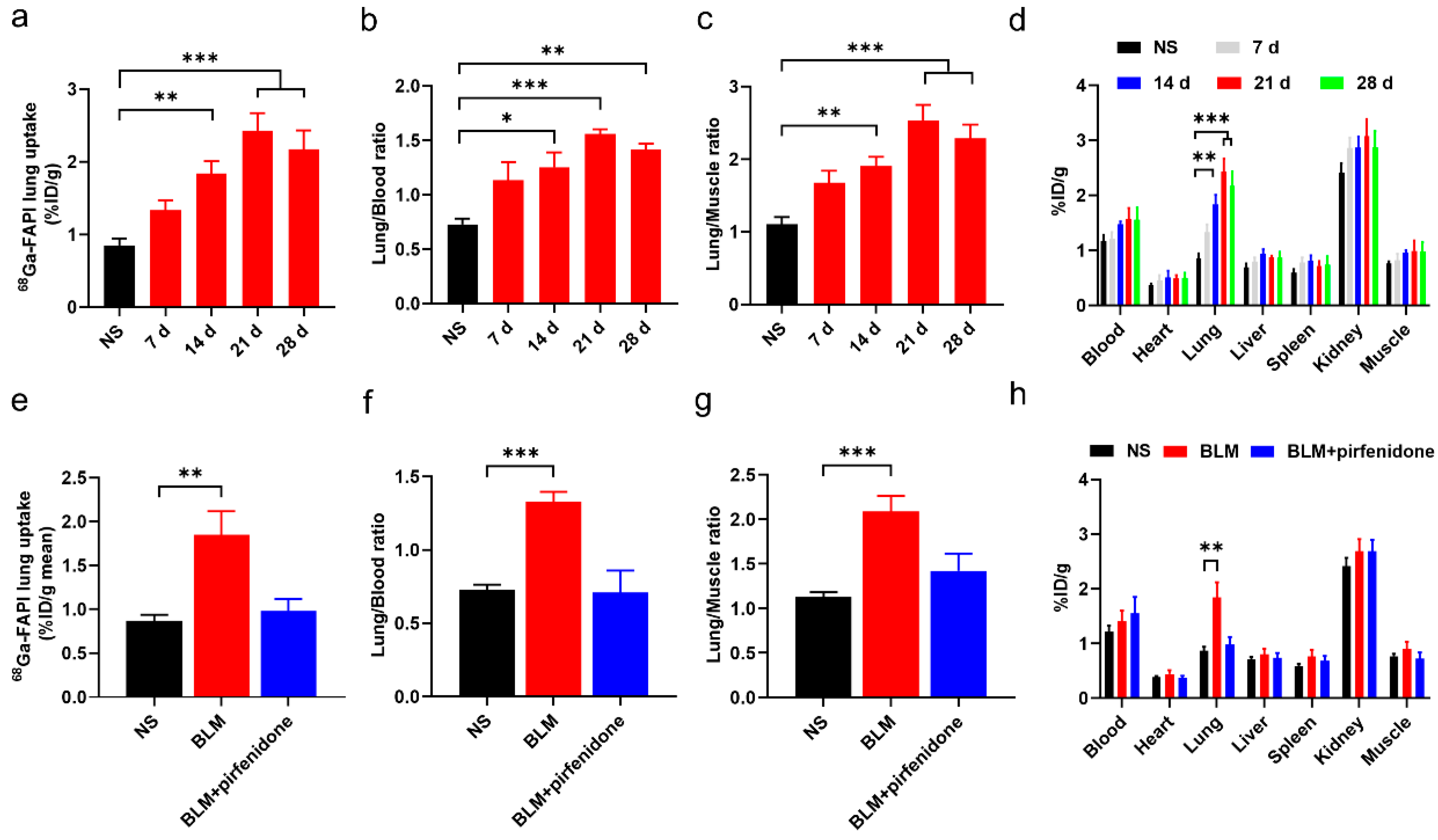 Pharmaceuticals 17 00726 g007