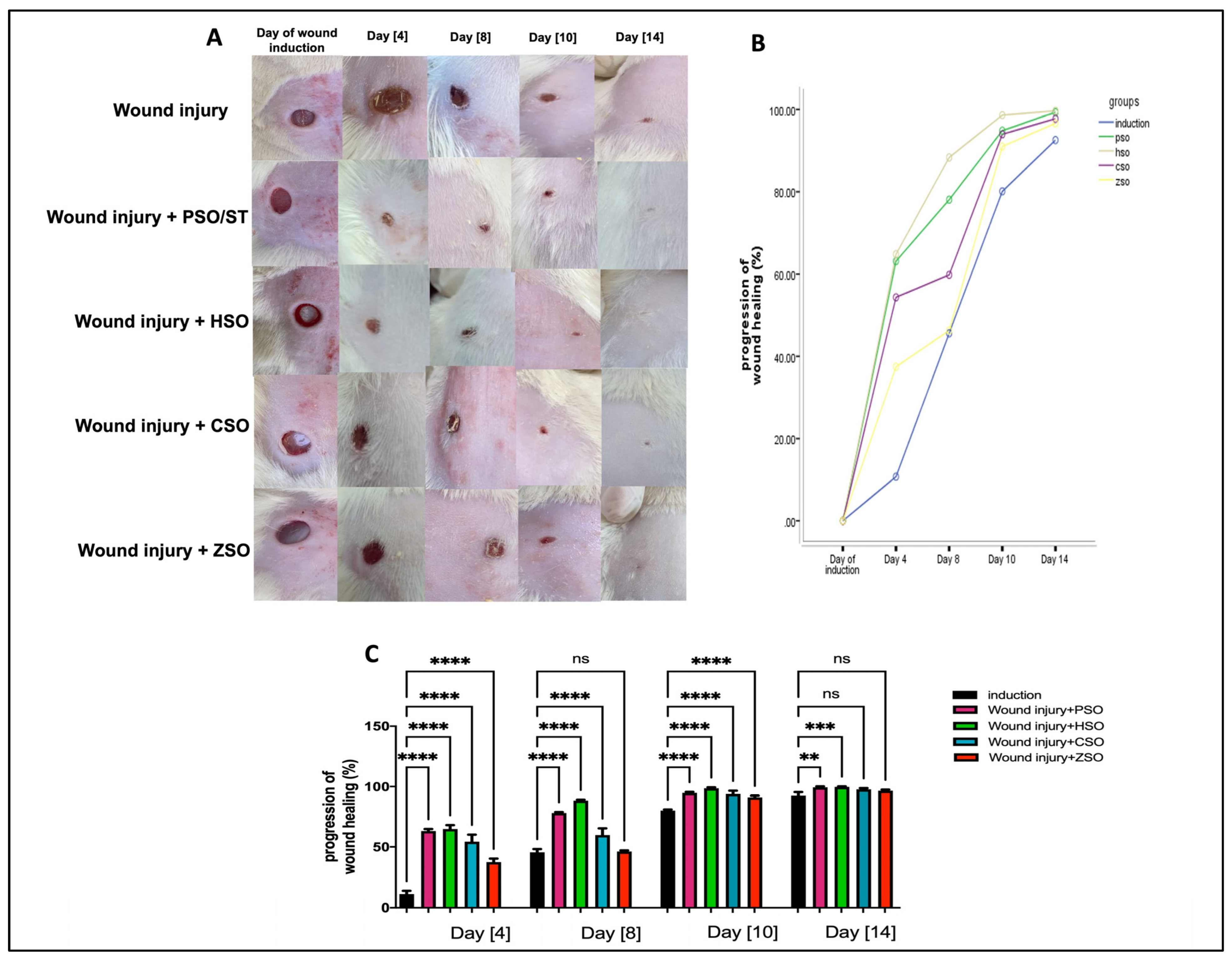 Pharmaceuticals 17 00733 g001