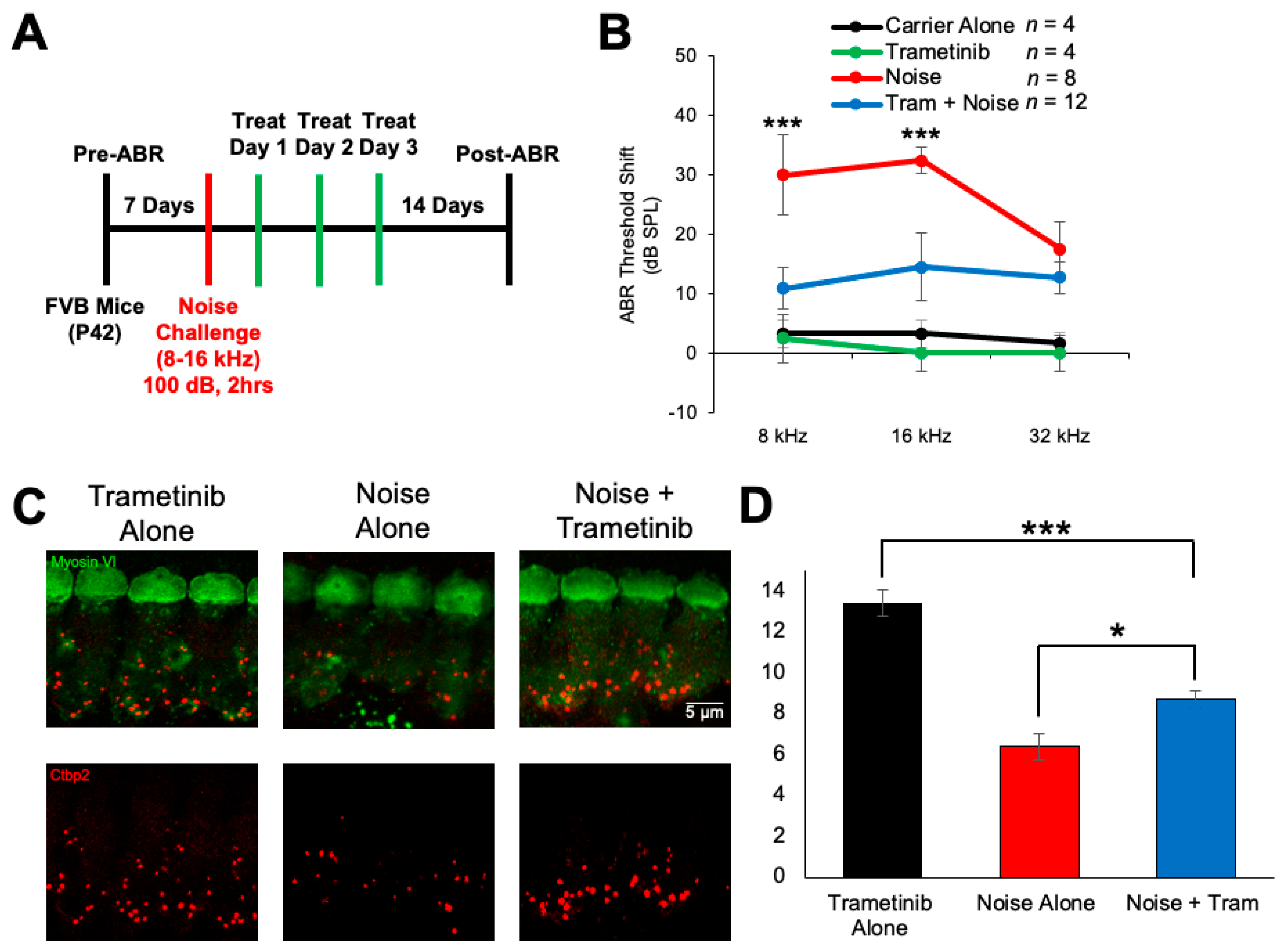 Pharmaceuticals 17 00735 g005