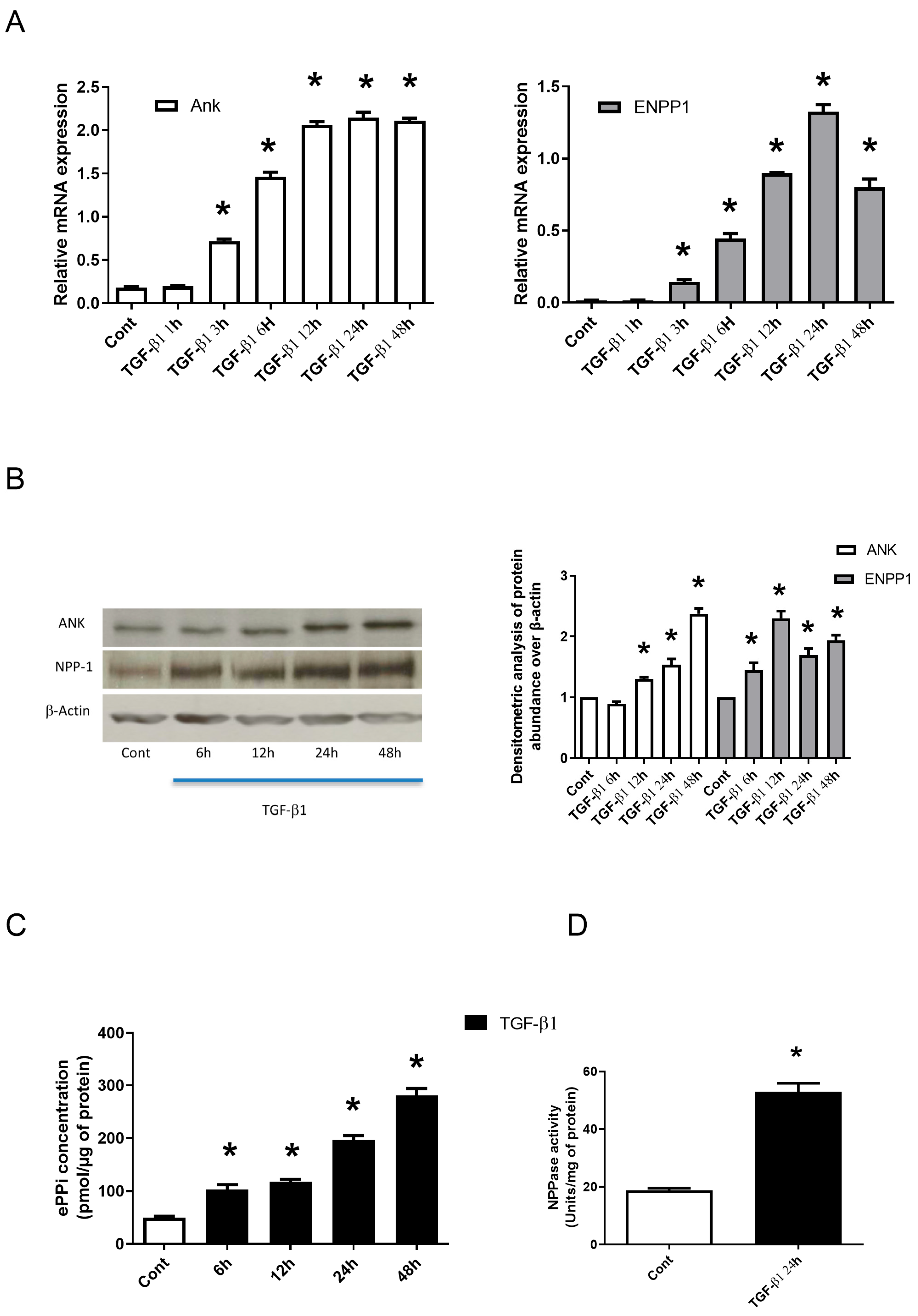 Pharmaceuticals 17 00738 g001 Pharmaceuticals 17 00738 g001