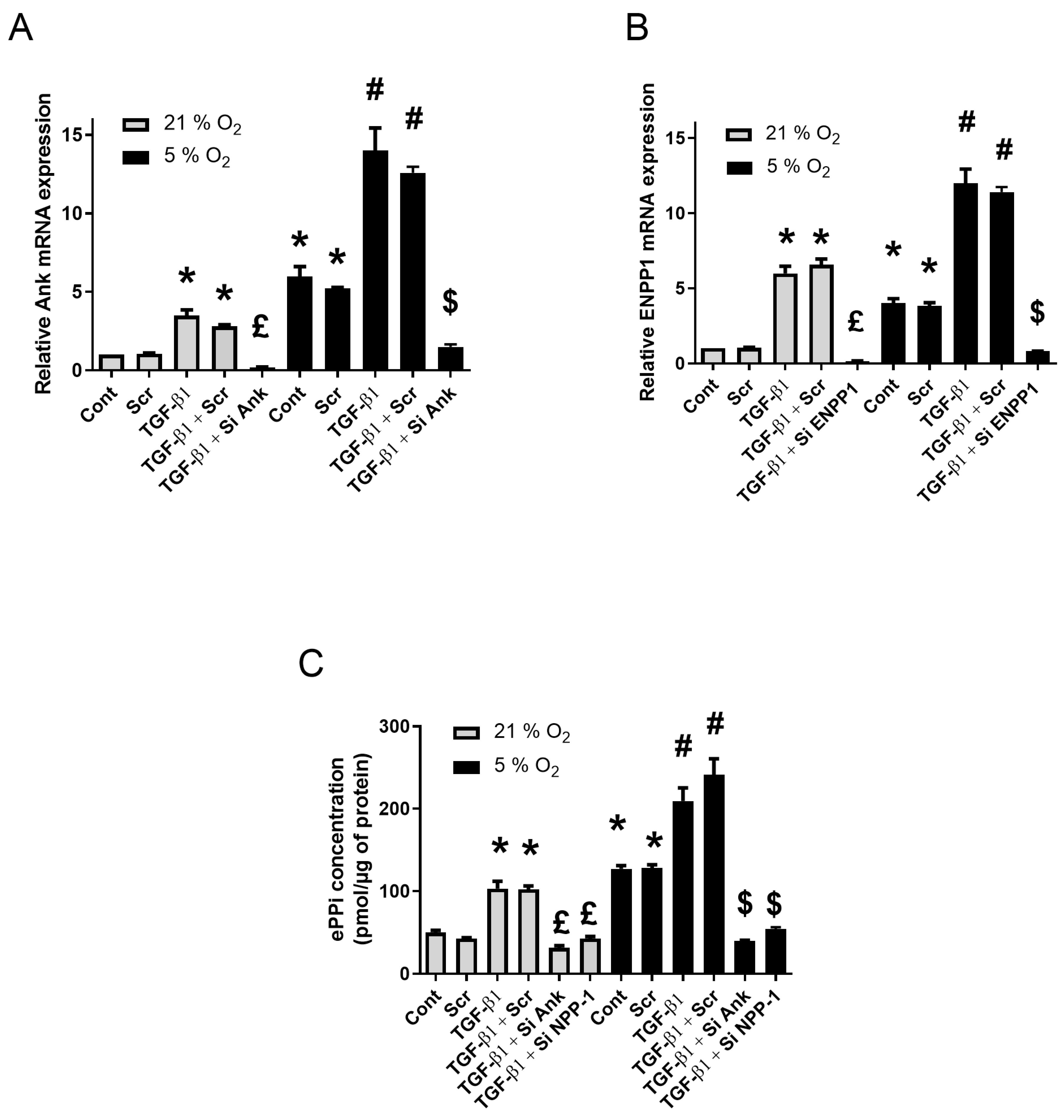 Pharmaceuticals 17 00738 g002 Pharmaceuticals 17 00738 g002