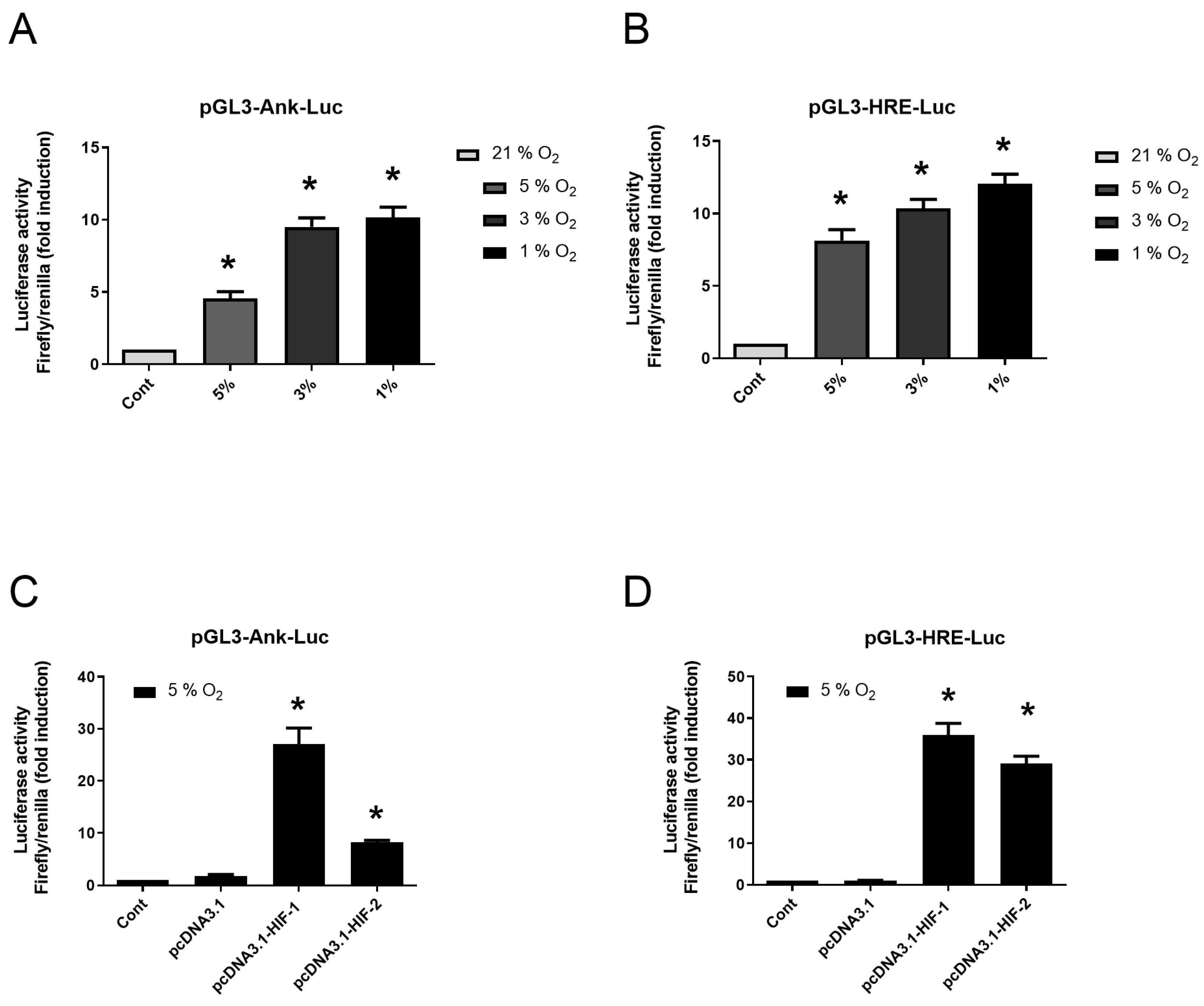 Pharmaceuticals 17 00738 g004 Pharmaceuticals 17 00738 g004