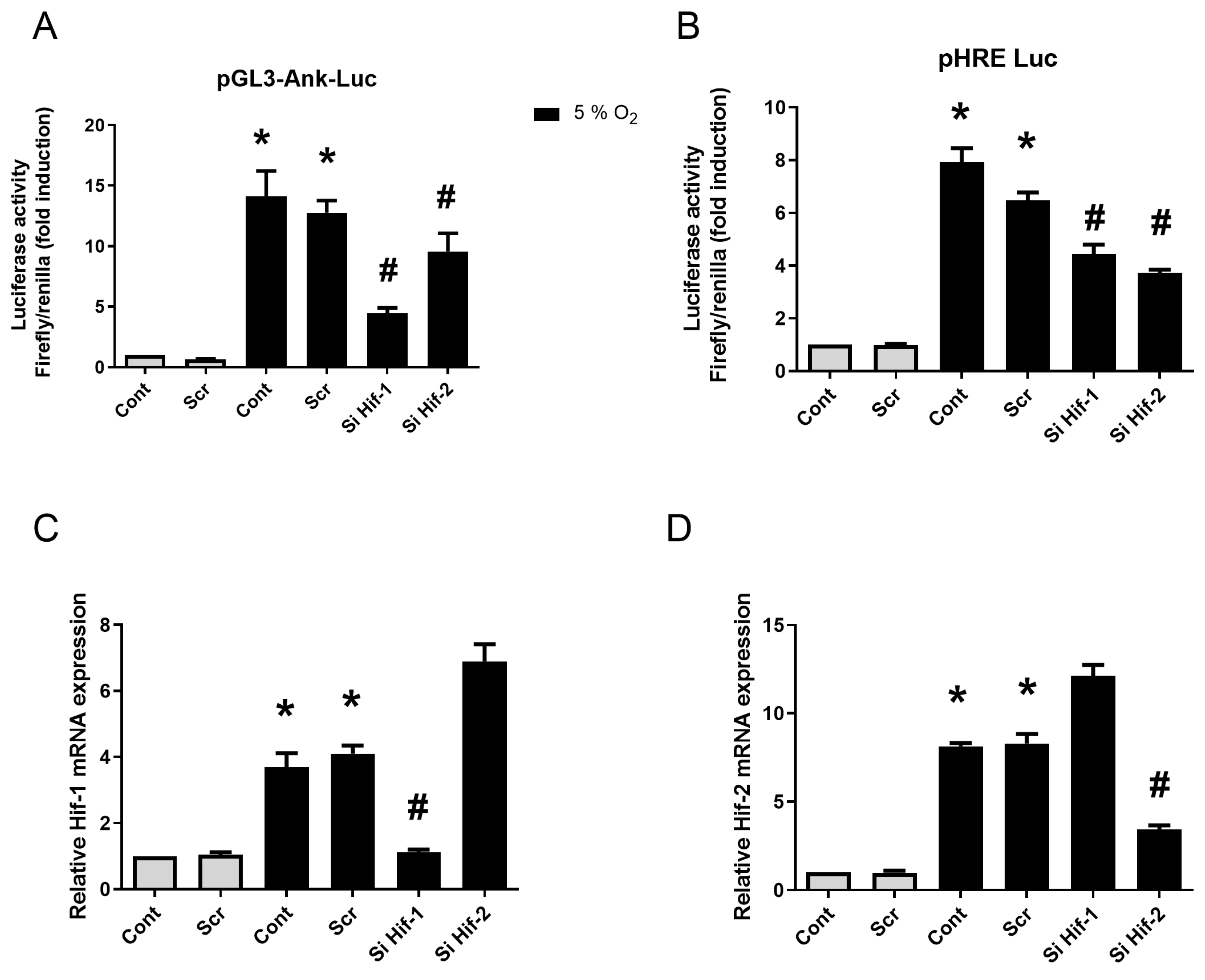 Pharmaceuticals 17 00738 g005 Pharmaceuticals 17 00738 g005