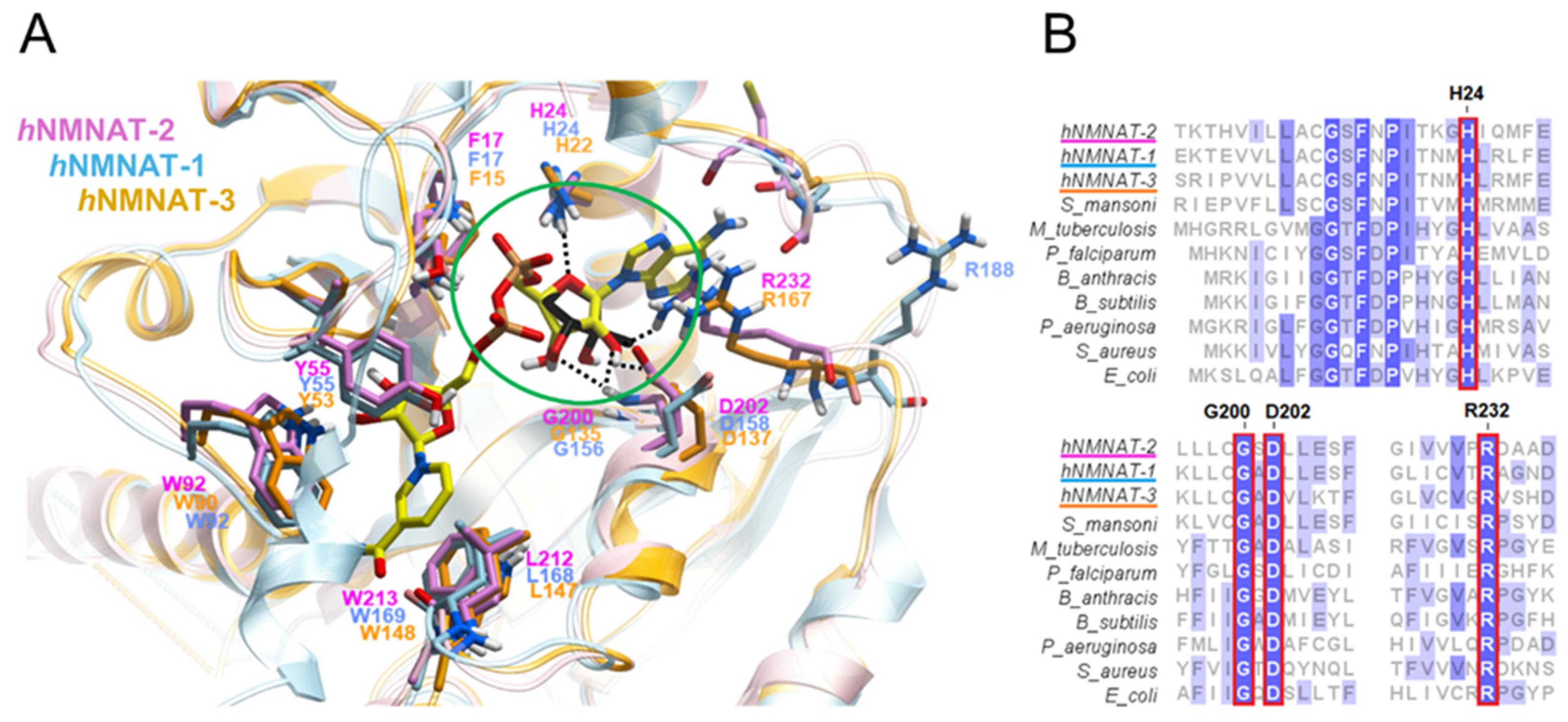 Pharmaceuticals 17 00739 g003