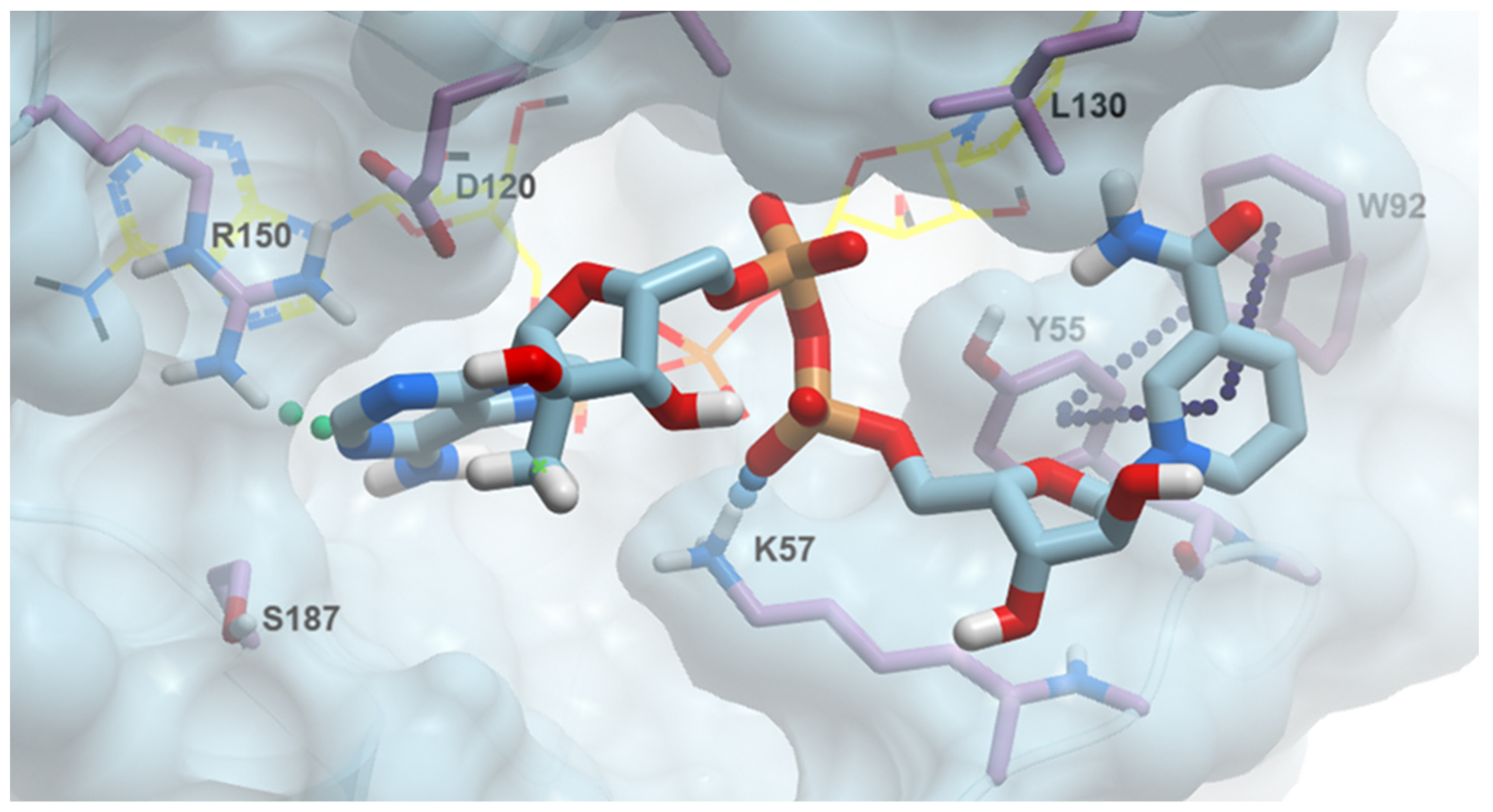 Pharmaceuticals 17 00739 g004