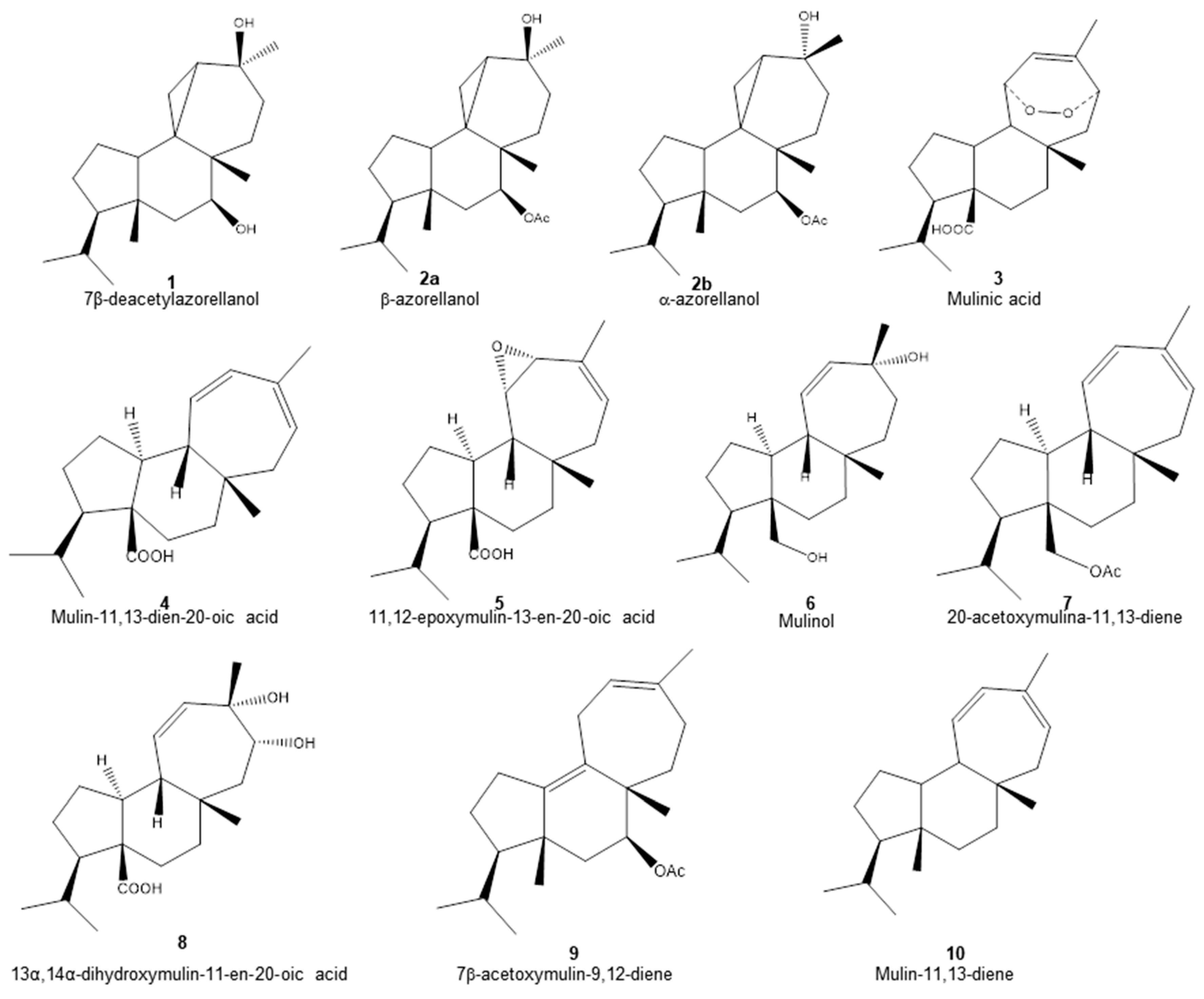 Pharmaceuticals 17 00746 g001