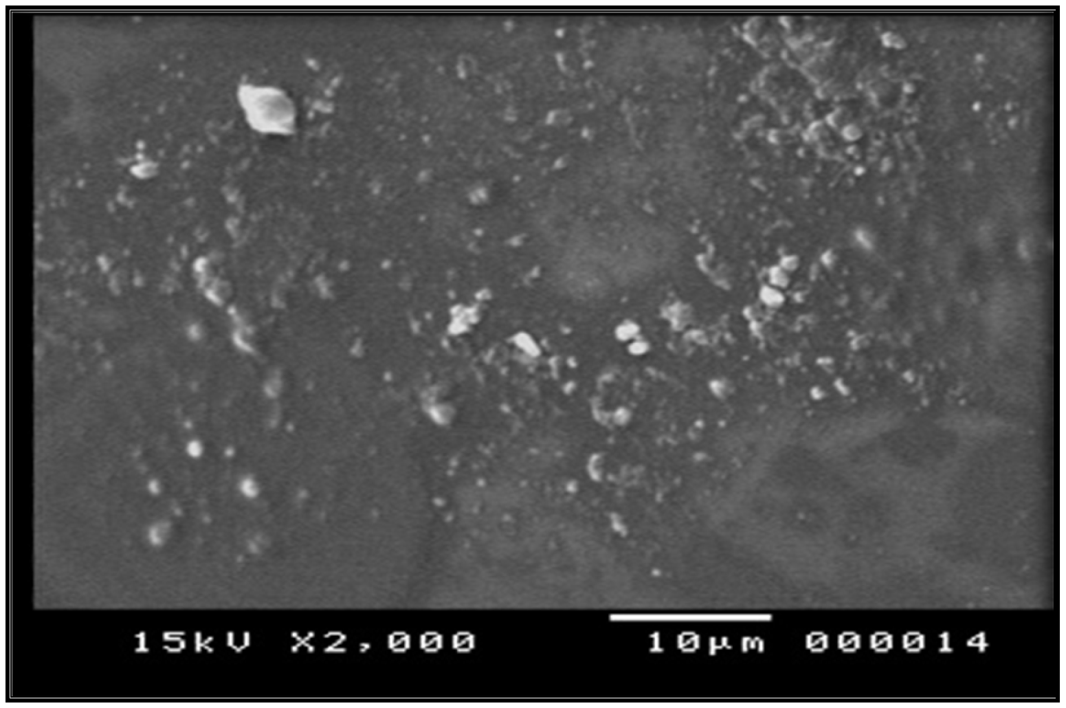 Pharmaceuticals 17 00759 g002