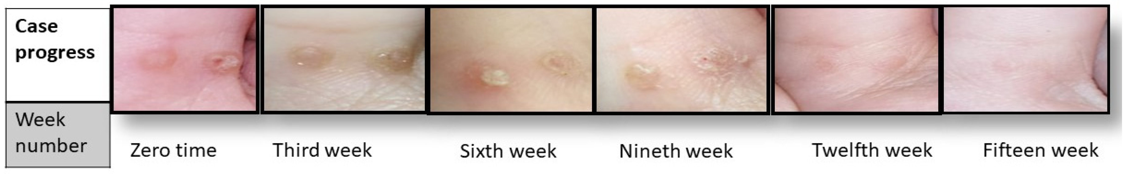 Pharmaceuticals 17 00759 g004