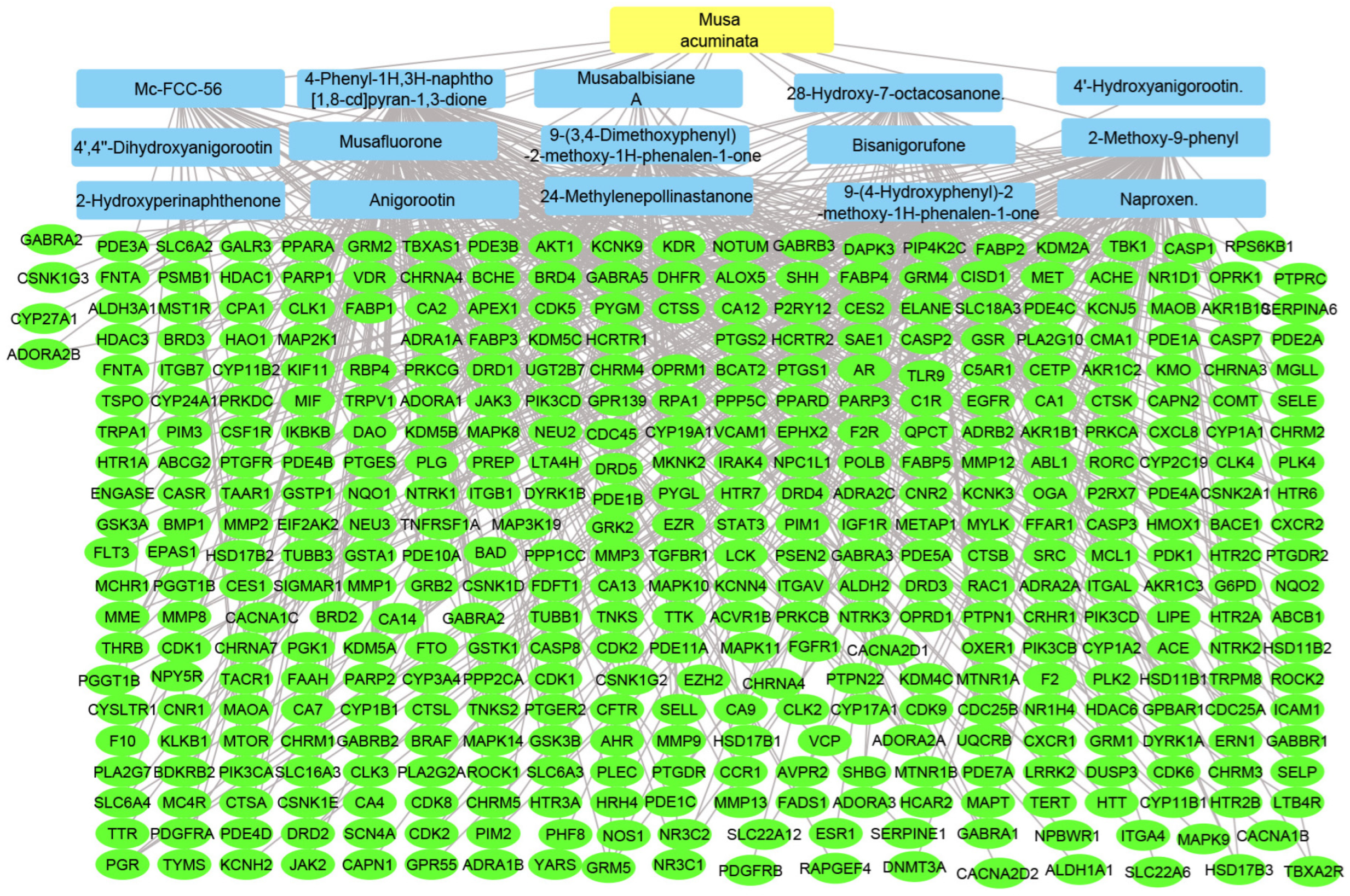 Pharmaceuticals 17 00759 g006