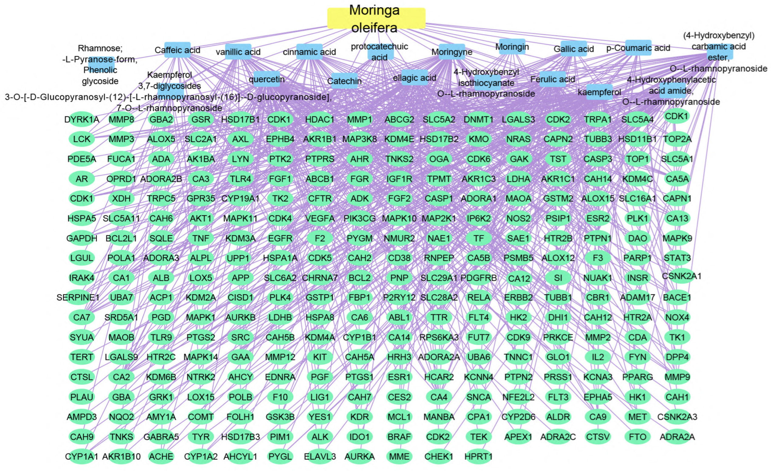 Pharmaceuticals 17 00759 g007