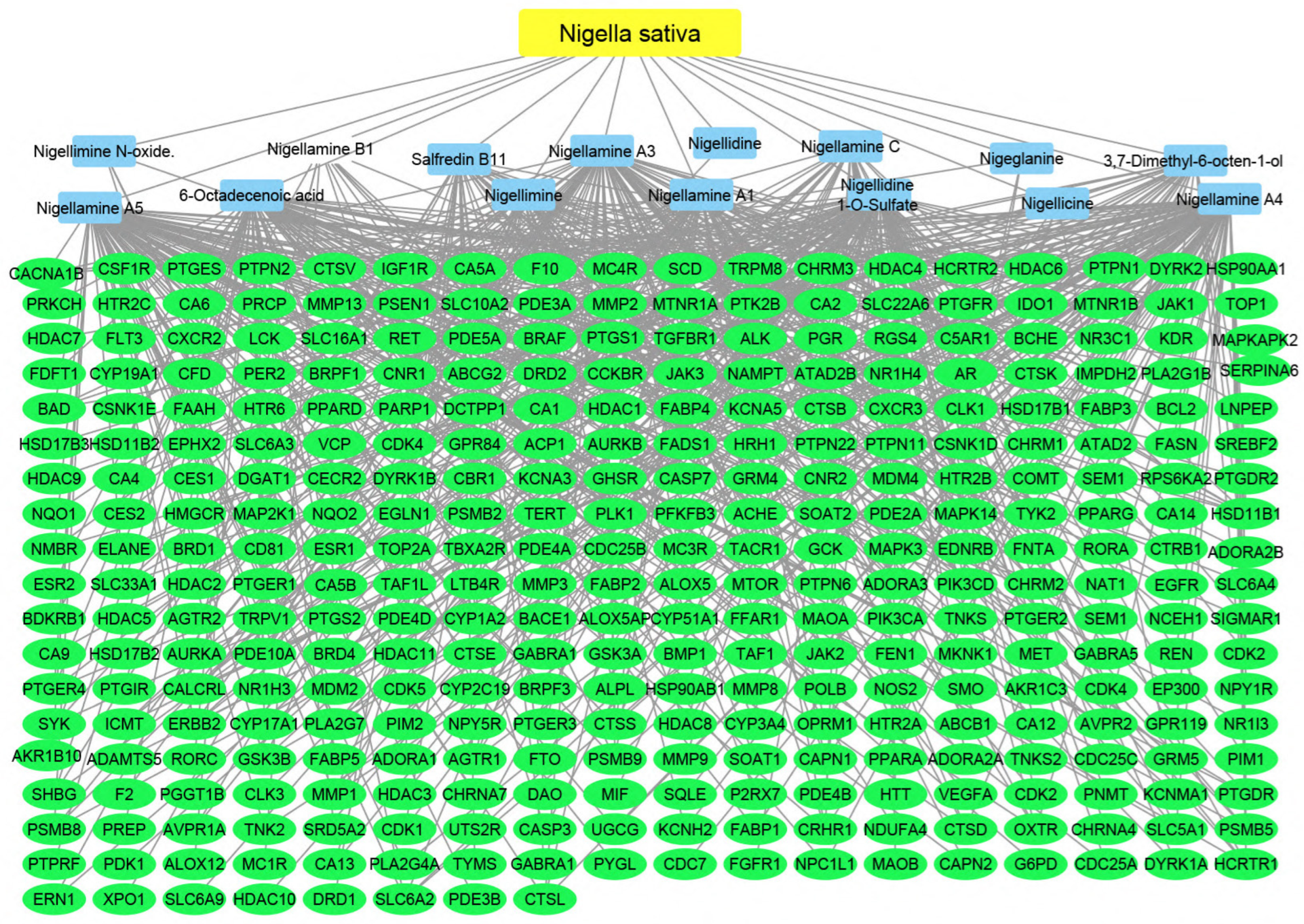 Pharmaceuticals 17 00759 g008