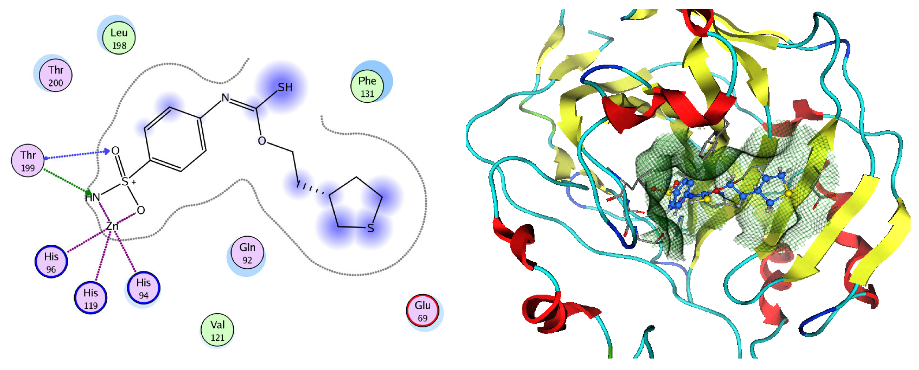 Pharmaceuticals 17 00759 g012