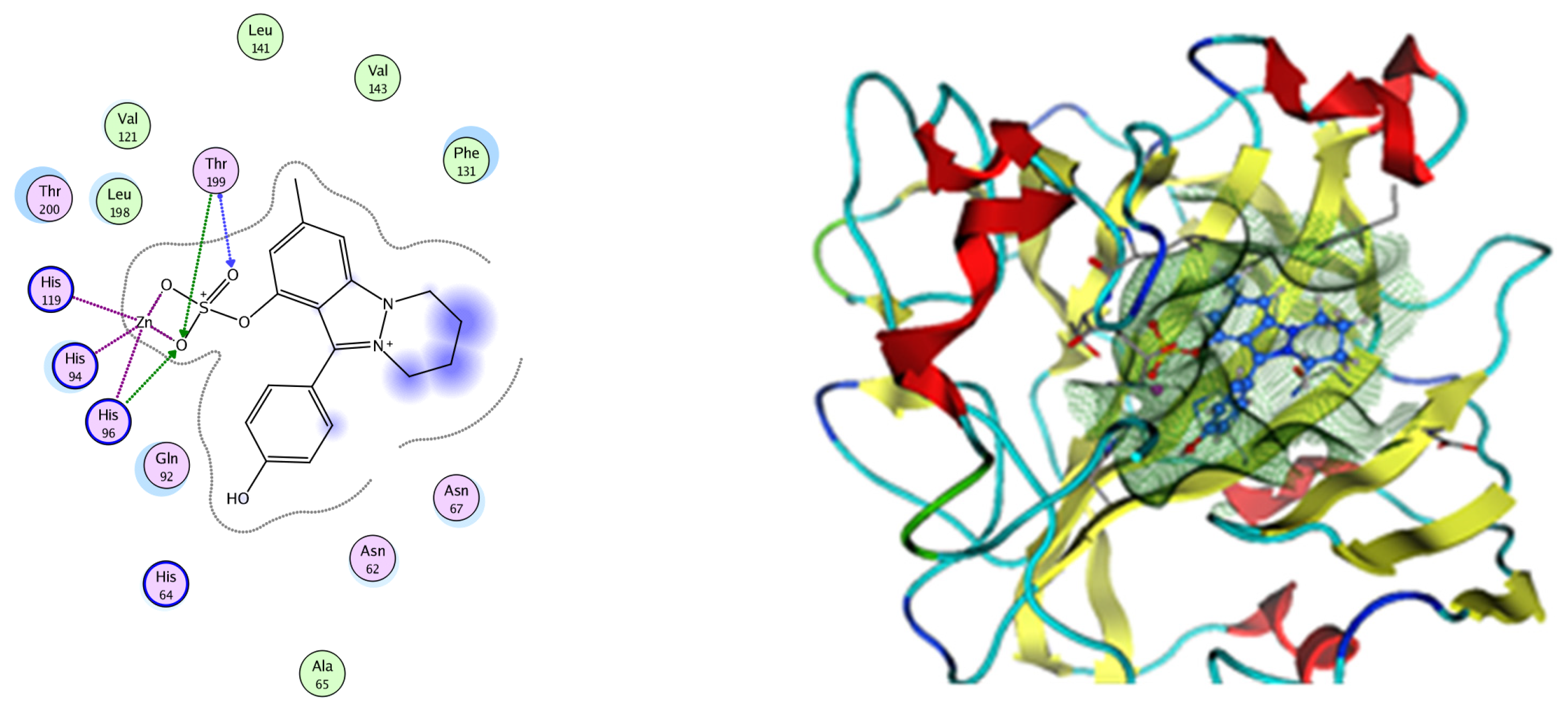 Pharmaceuticals 17 00759 g013