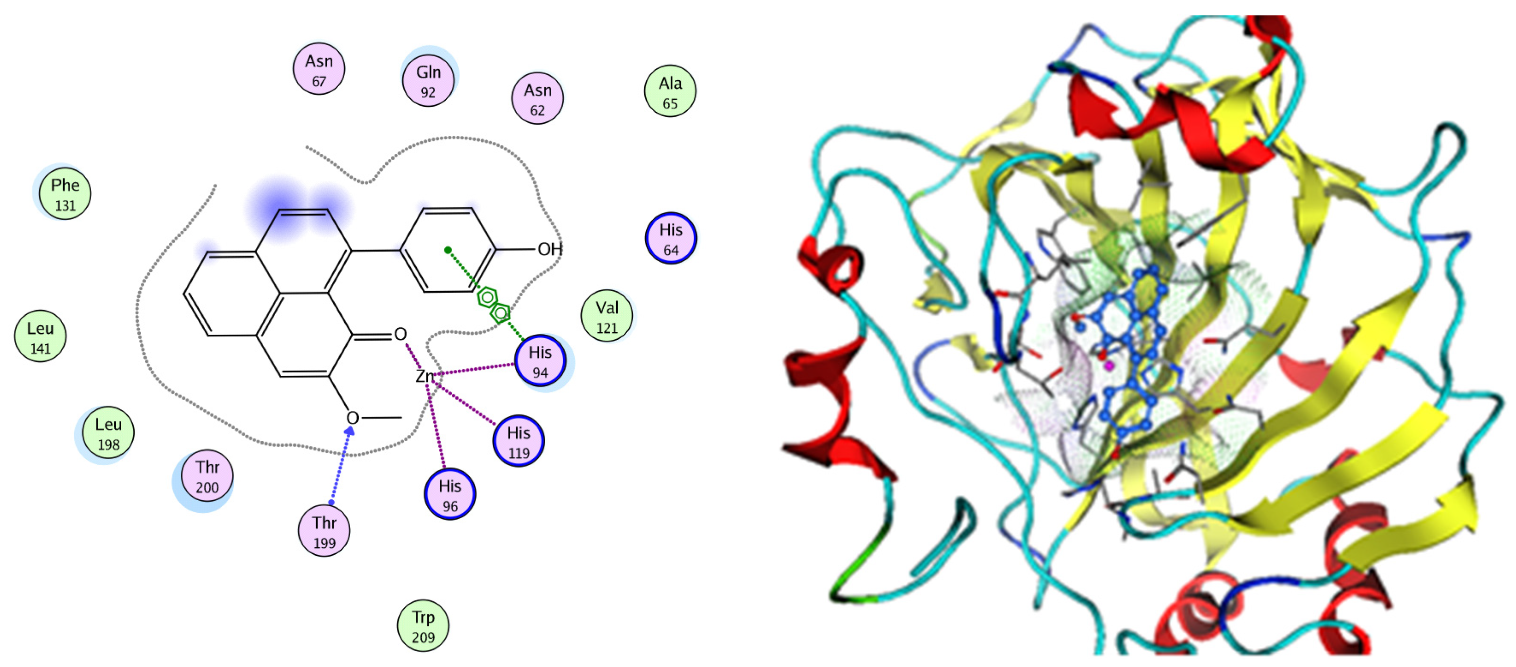 Pharmaceuticals 17 00759 g015