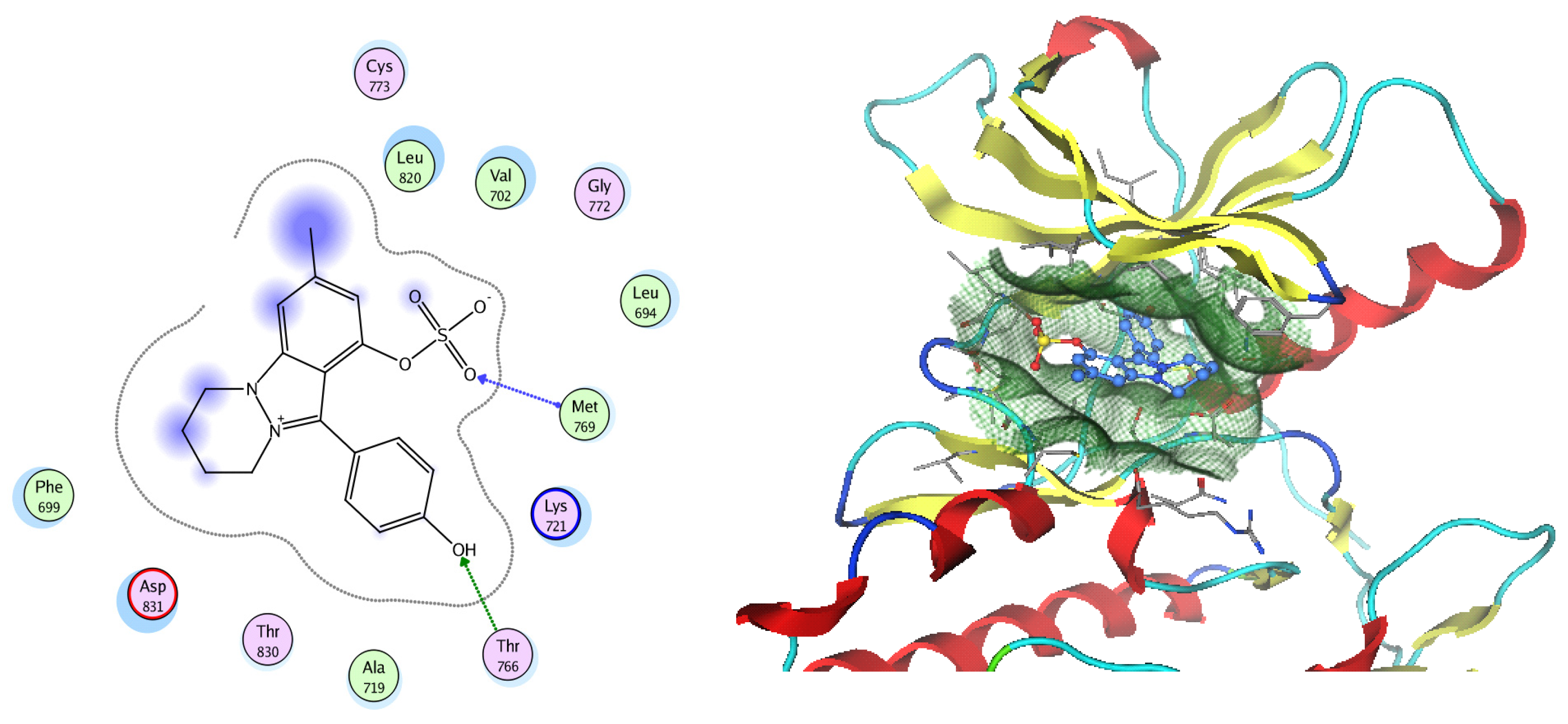 Pharmaceuticals 17 00759 g017
