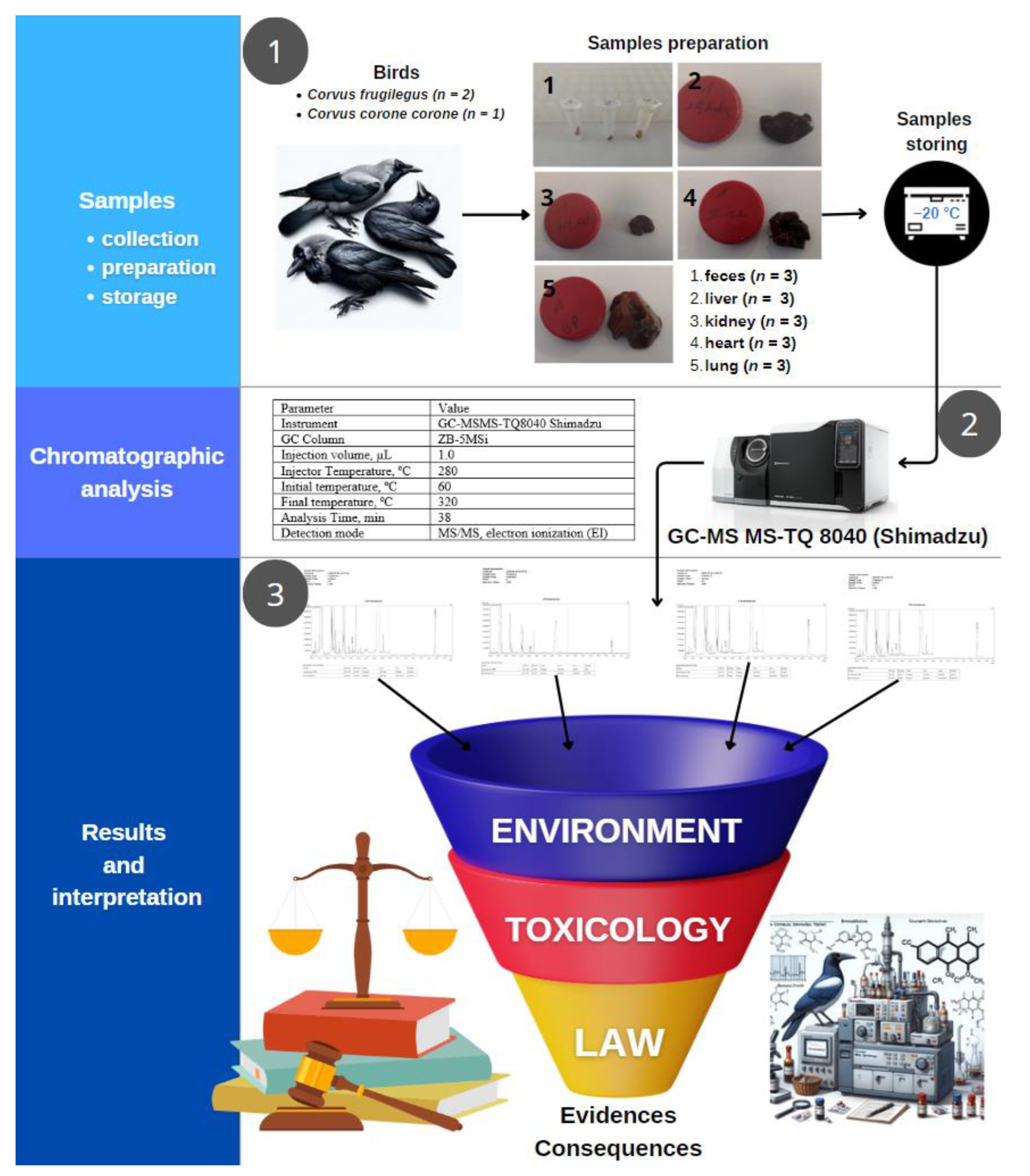 Pharmaceuticals 17 00764 g005
