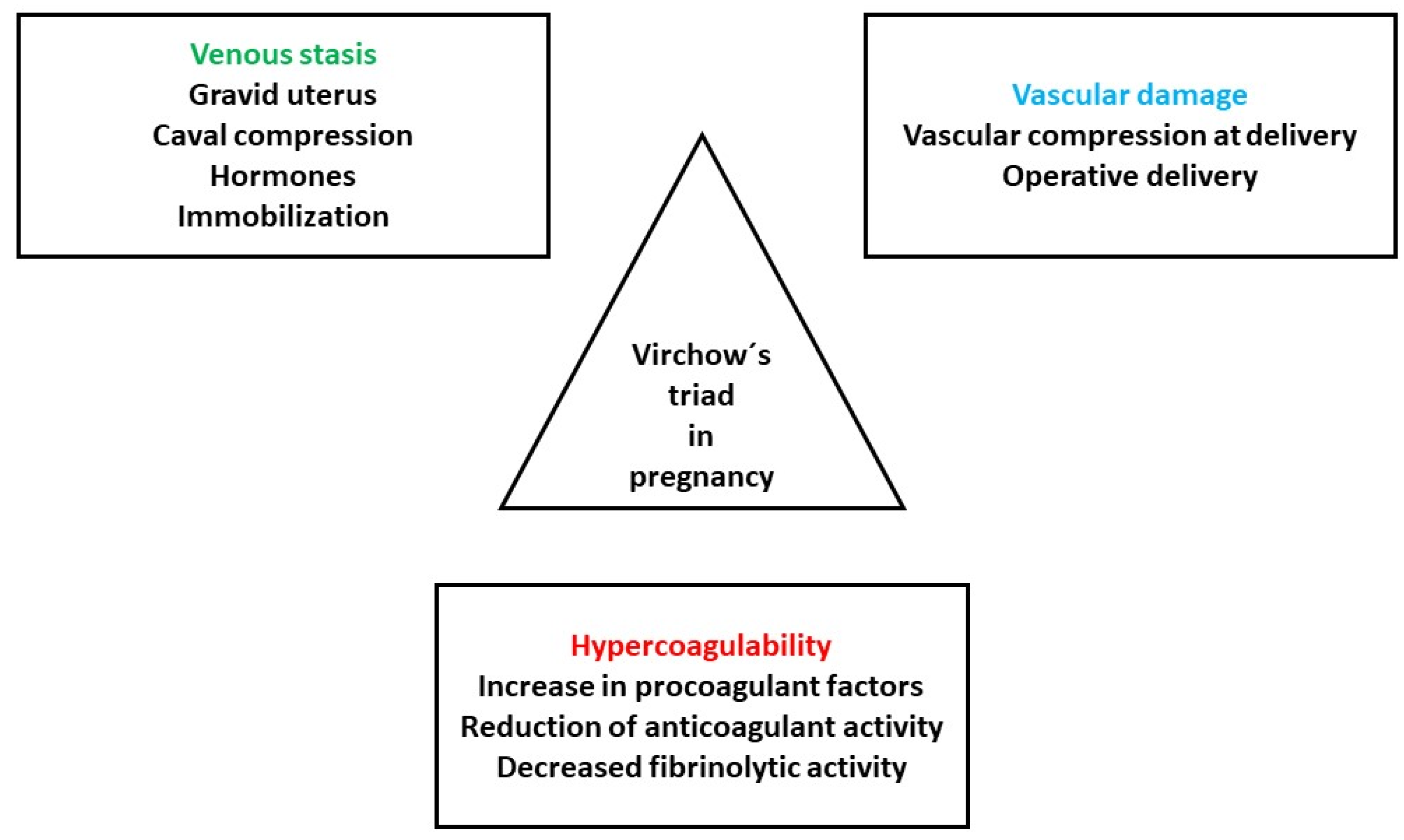 Pharmaceuticals 17 00773 g001