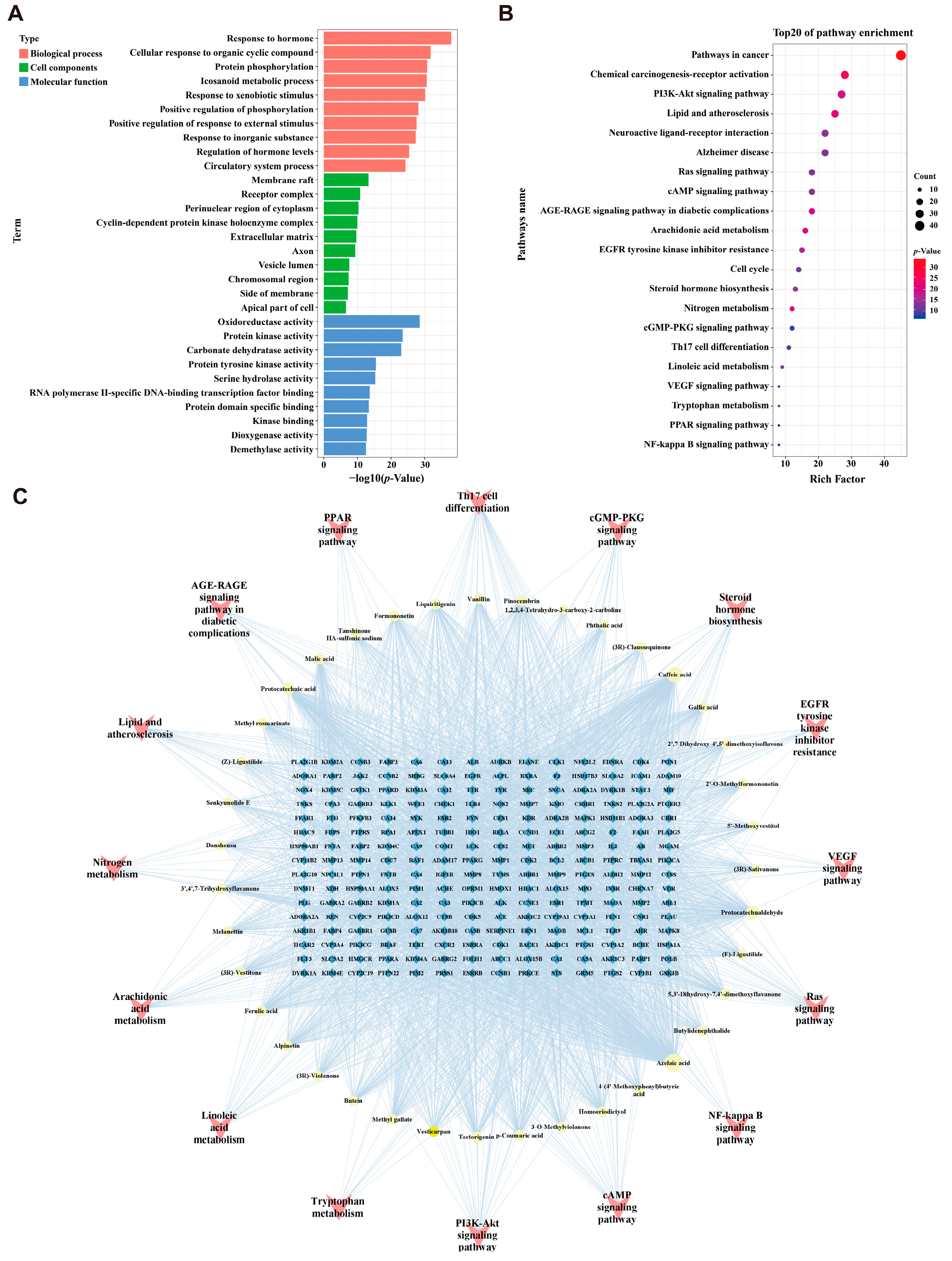 Pharmaceuticals 17 00784 g003