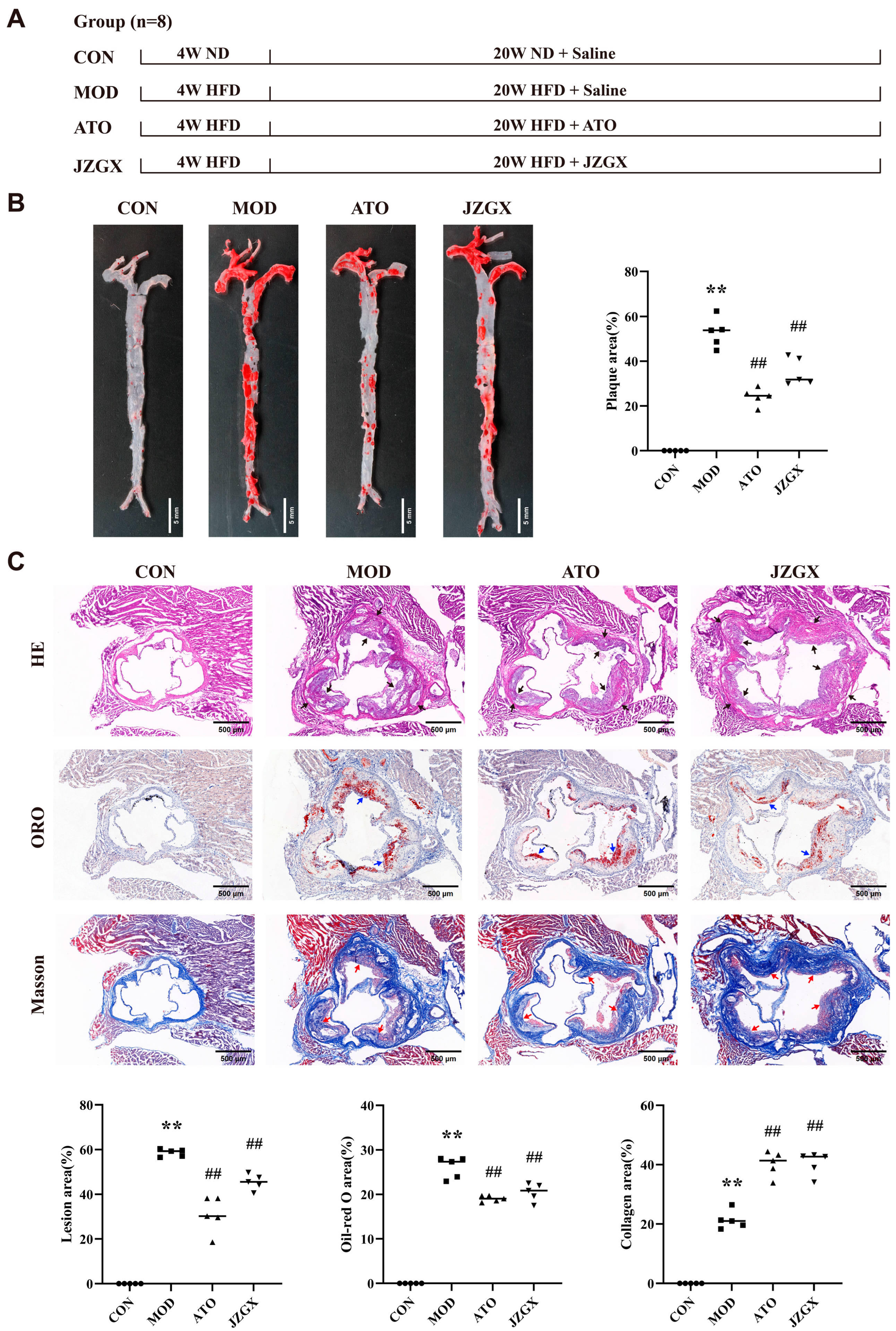 Pharmaceuticals 17 00784 g004