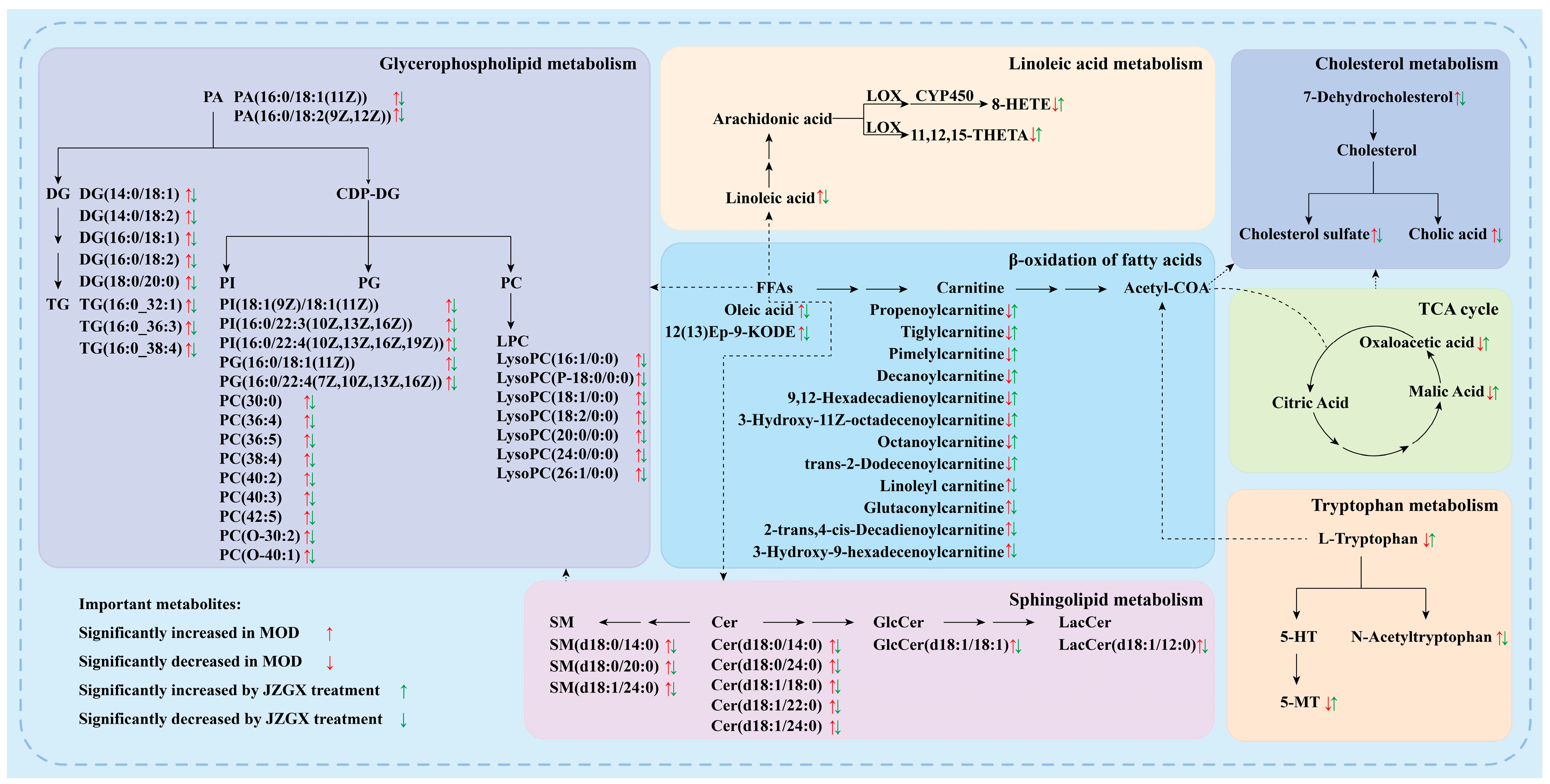 Pharmaceuticals 17 00784 g009