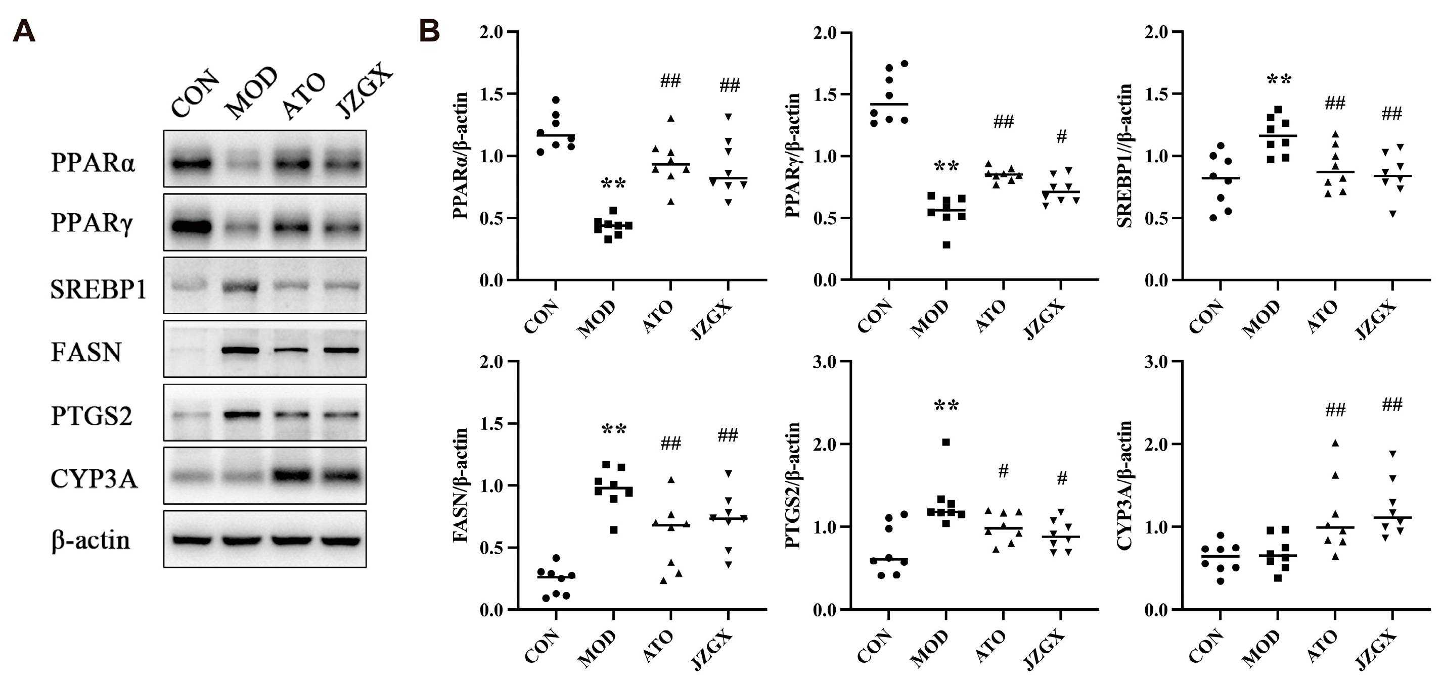 Pharmaceuticals 17 00784 g010