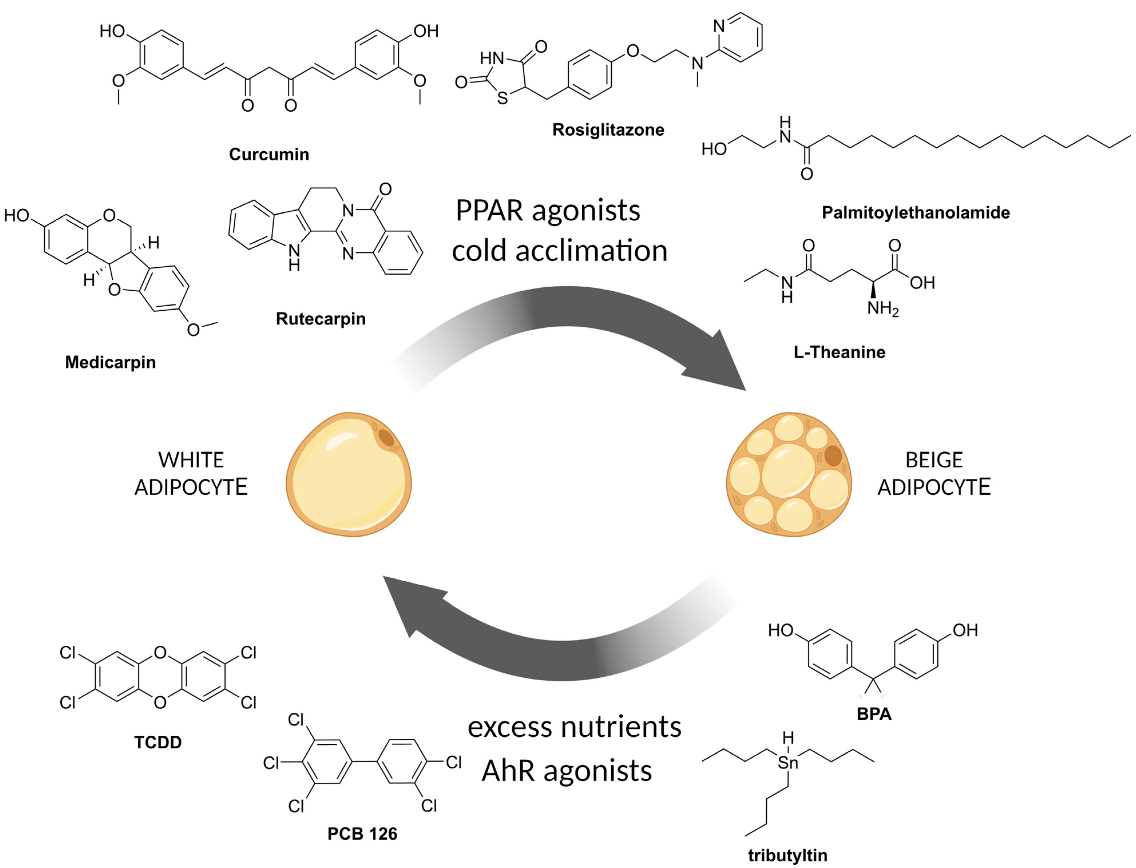 Pharmaceuticals 17 00790 g002