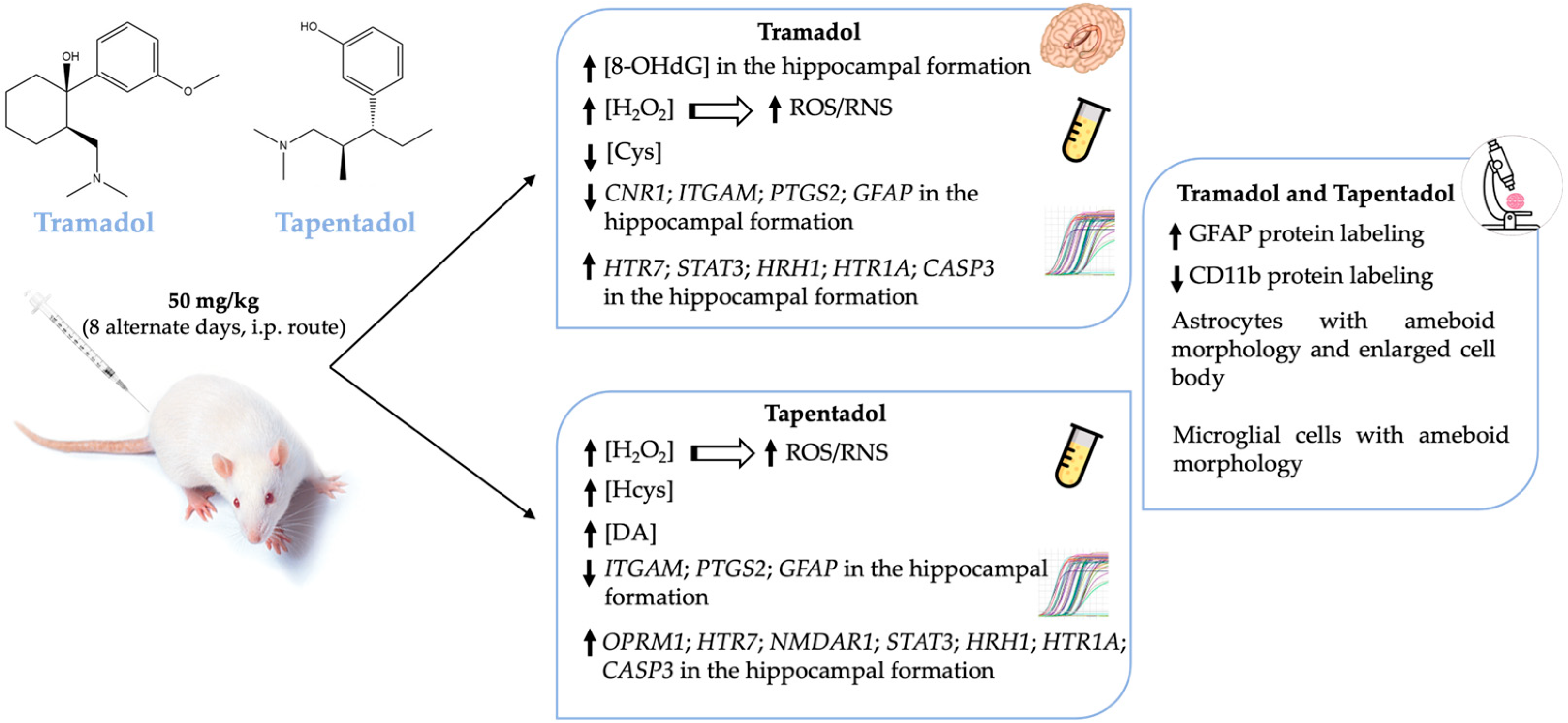 Pharmaceuticals 17 00796 g006