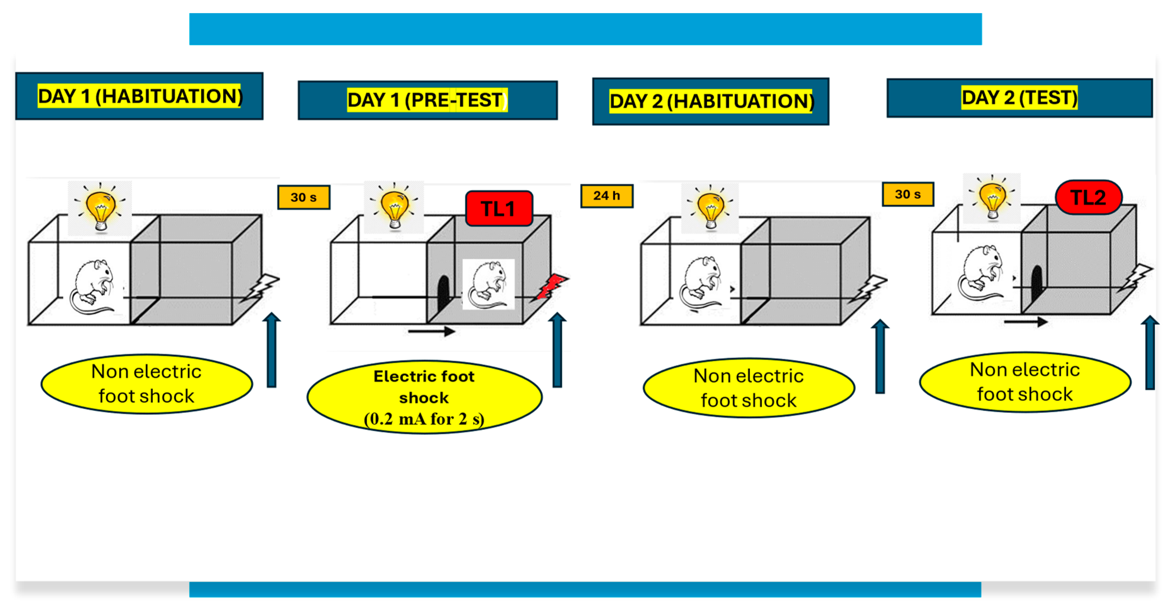 Pharmaceuticals 17 00809 g003