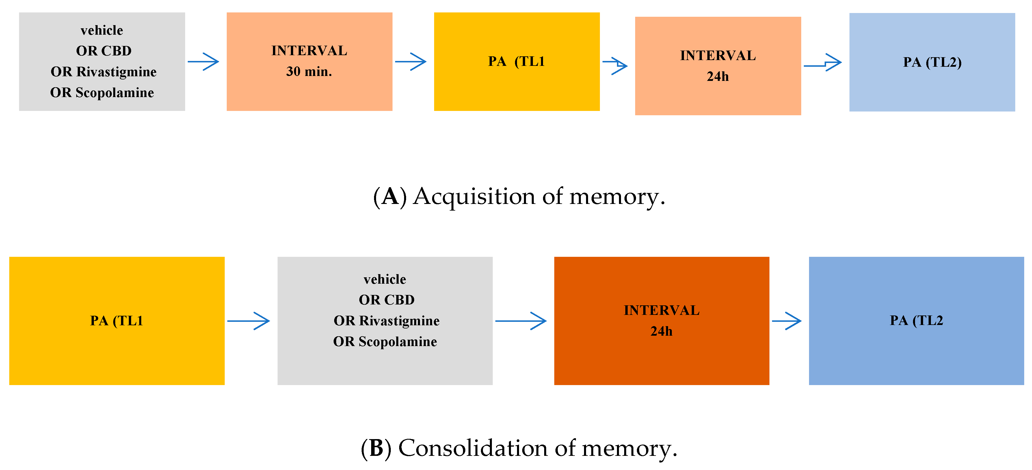 Pharmaceuticals 17 00809 g004a
