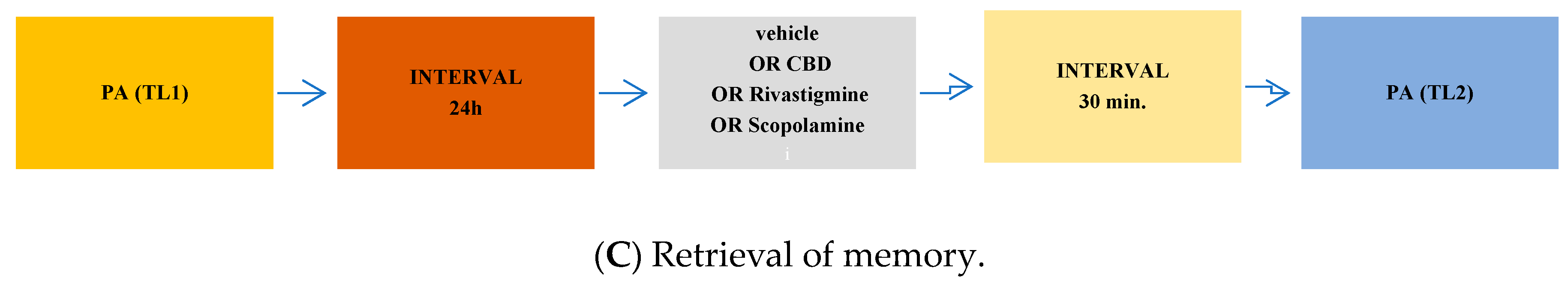 Pharmaceuticals 17 00809 g004b