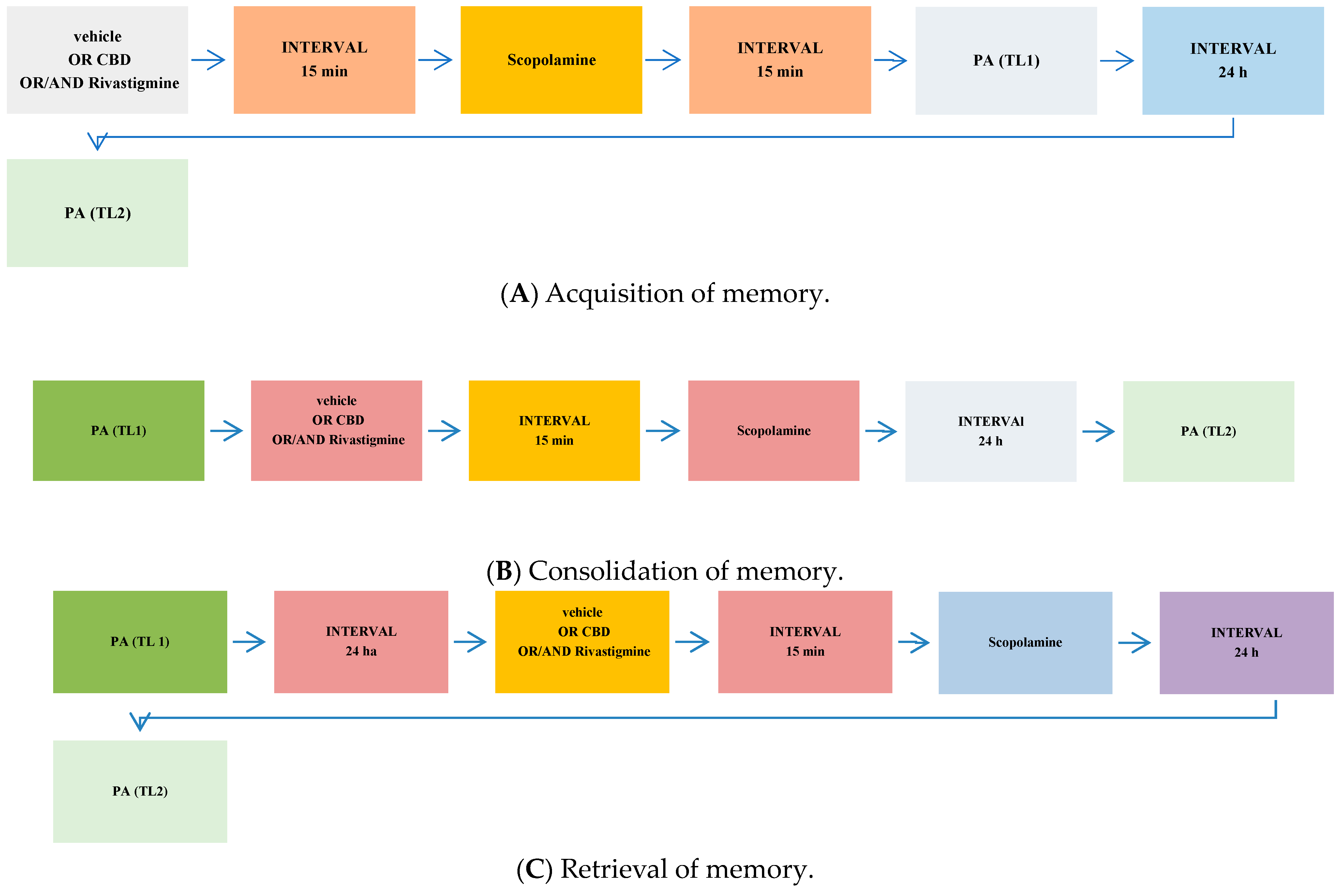 Pharmaceuticals 17 00809 g005