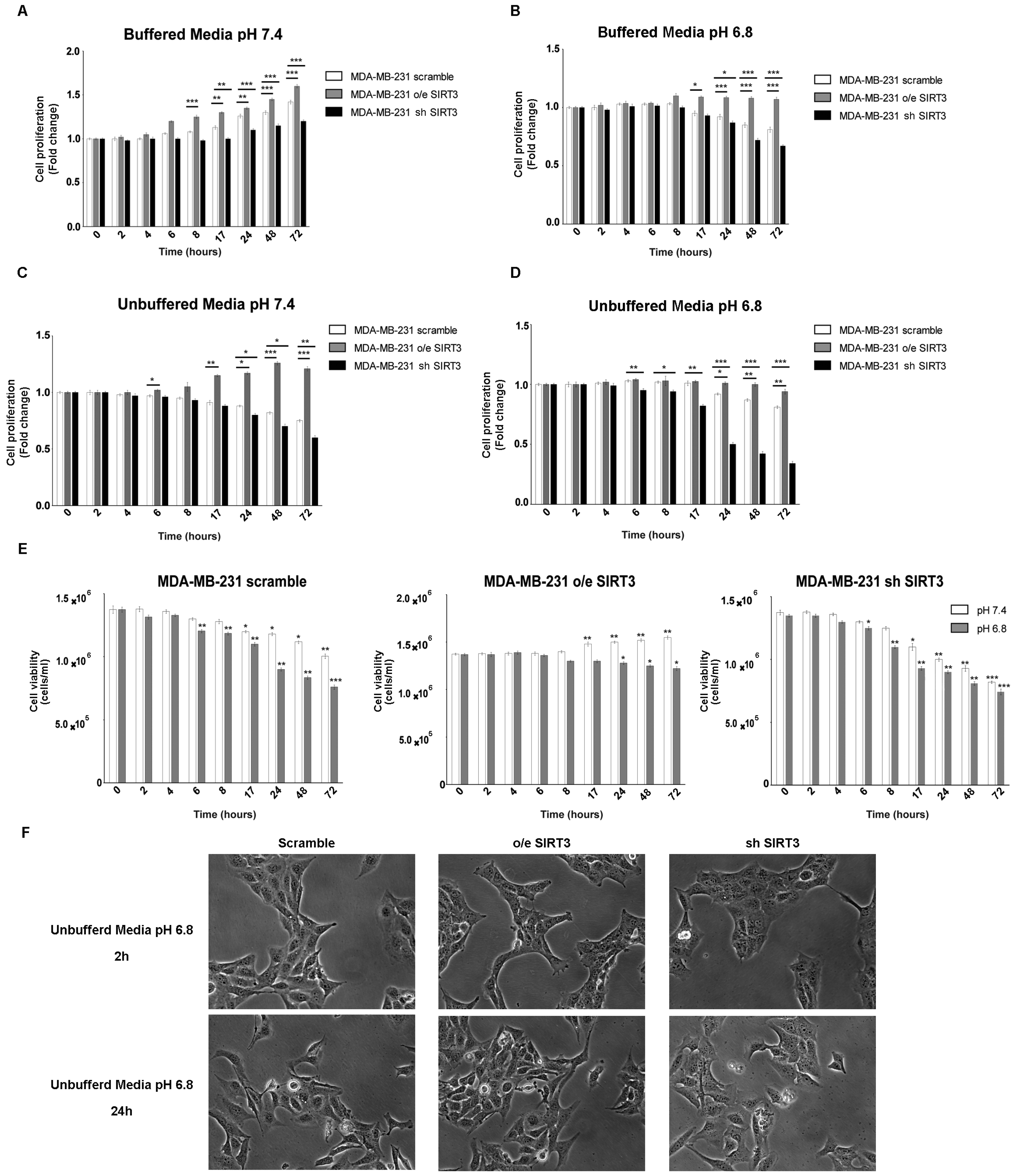 Pharmaceuticals 17 00810 g001 Pharmaceuticals 17 00810 g001
