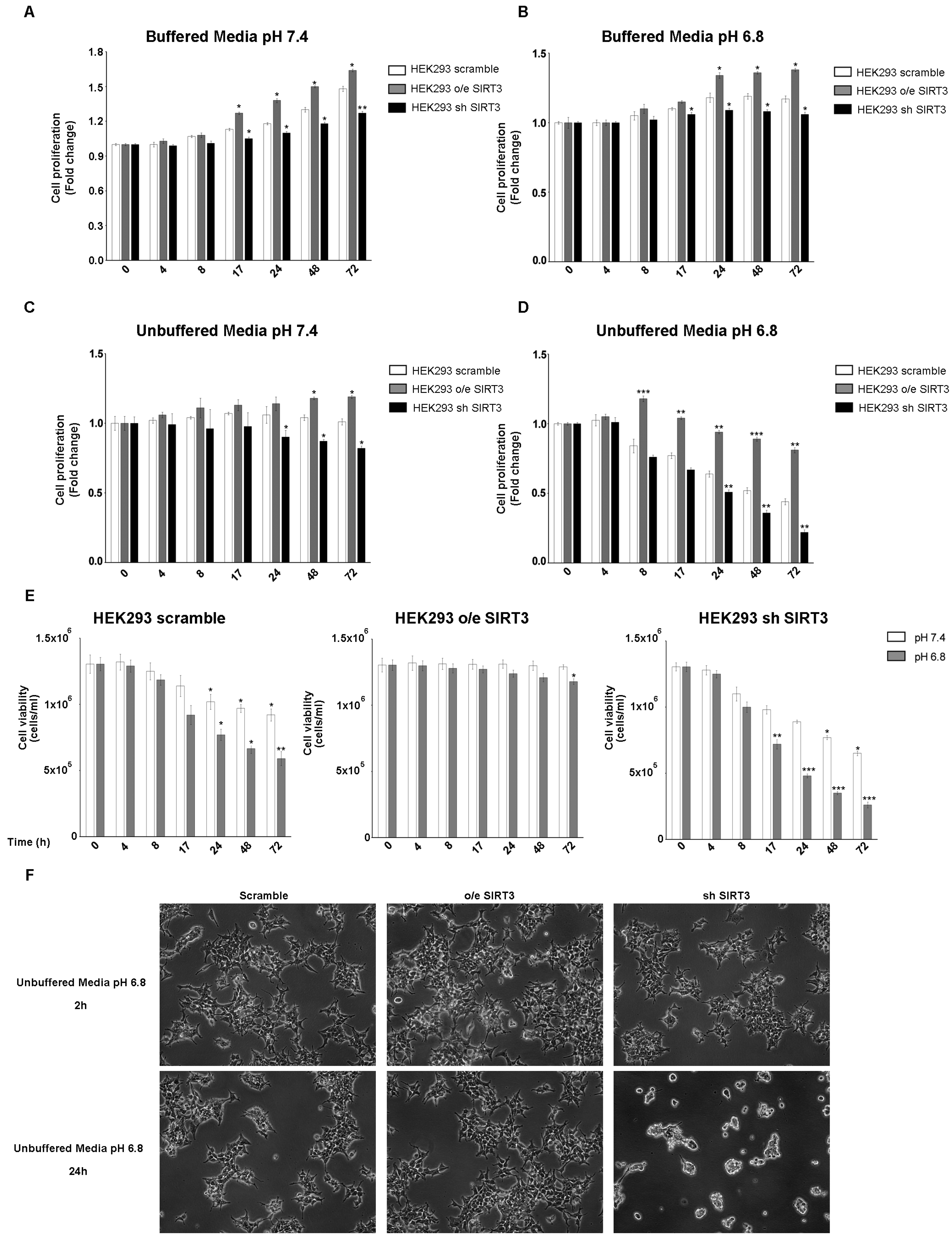 Pharmaceuticals 17 00810 g002 Pharmaceuticals 17 00810 g002