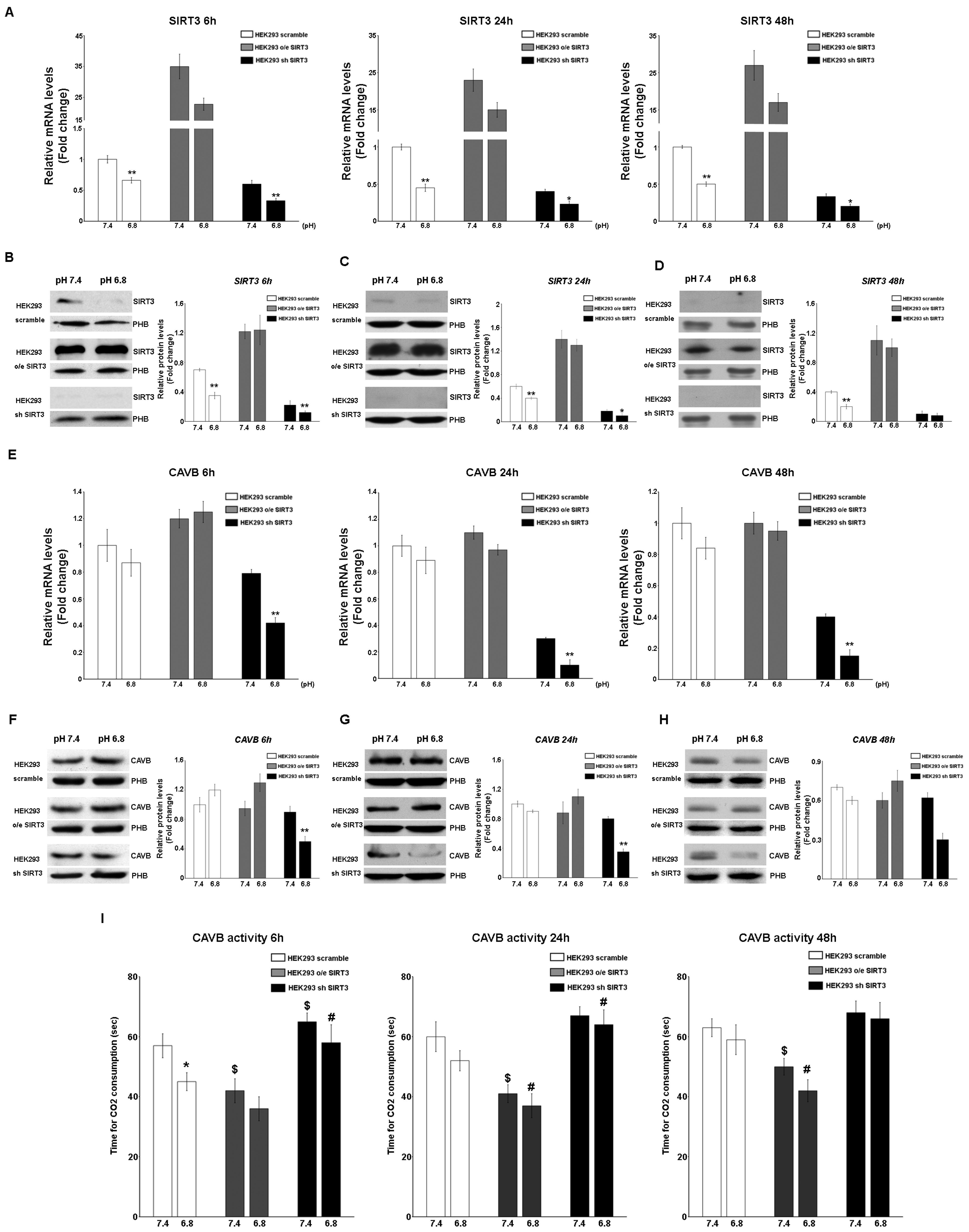 Pharmaceuticals 17 00810 g004 Pharmaceuticals 17 00810 g004
