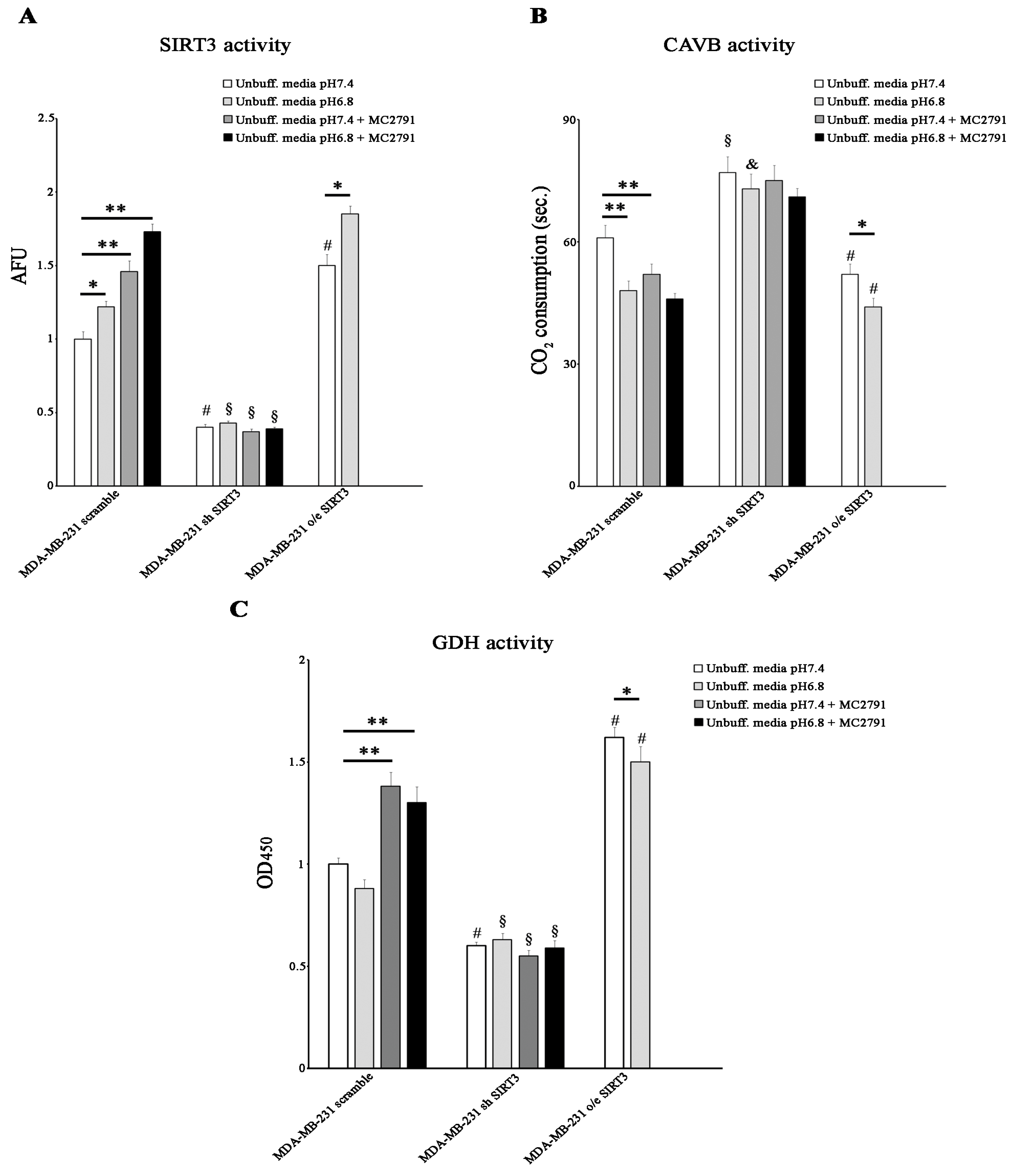 Pharmaceuticals 17 00810 g006 Pharmaceuticals 17 00810 g006