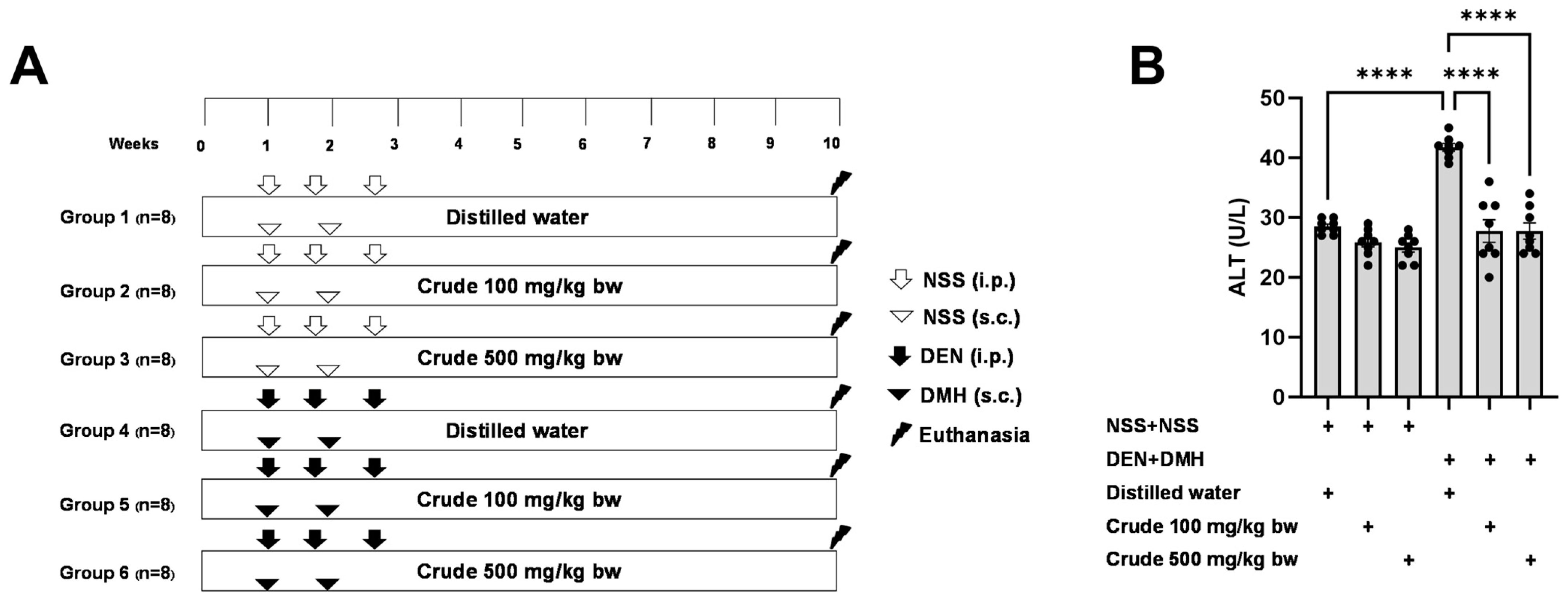 Pharmaceuticals 17 00818 g001