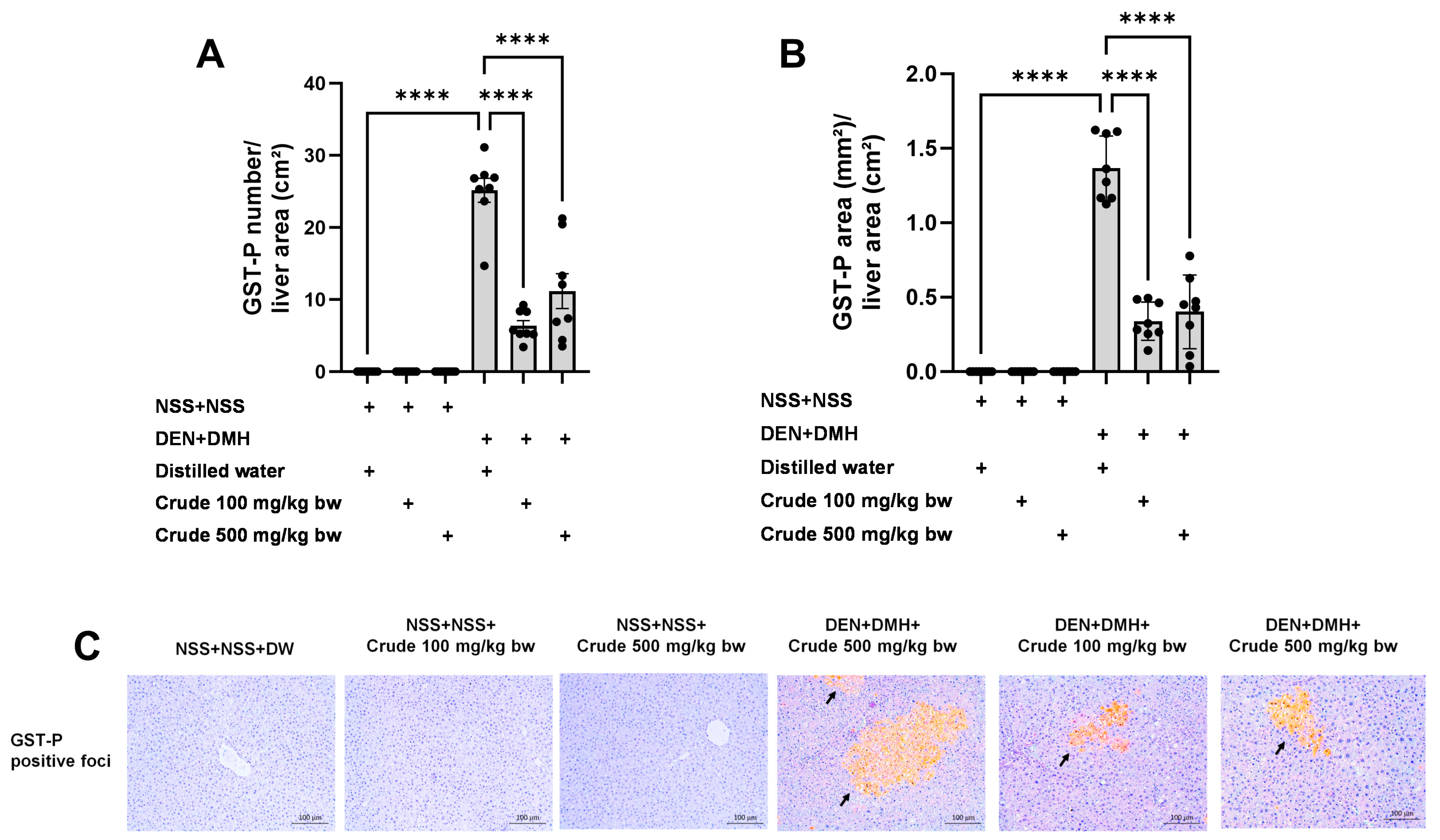 Pharmaceuticals 17 00818 g002