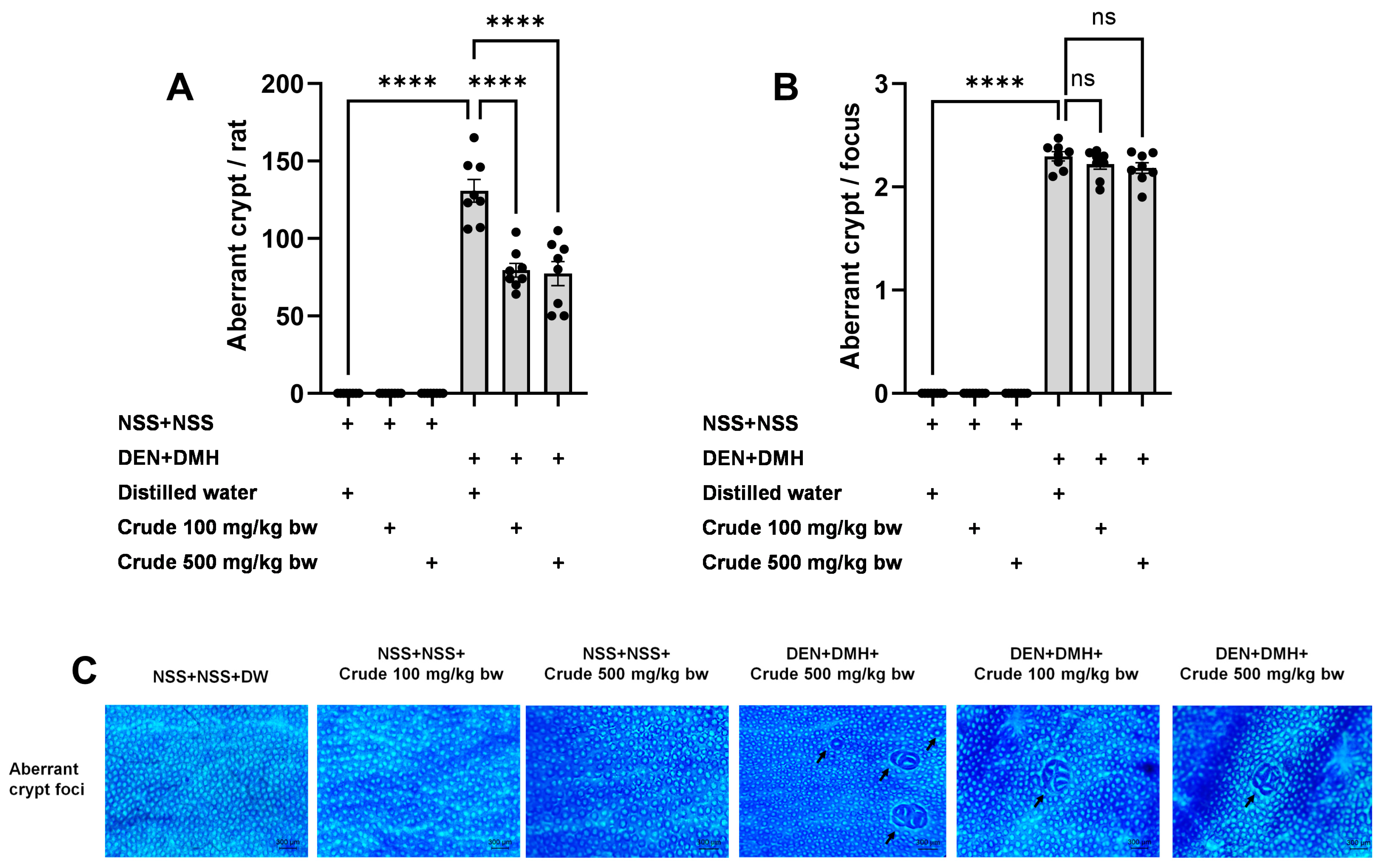 Pharmaceuticals 17 00818 g003