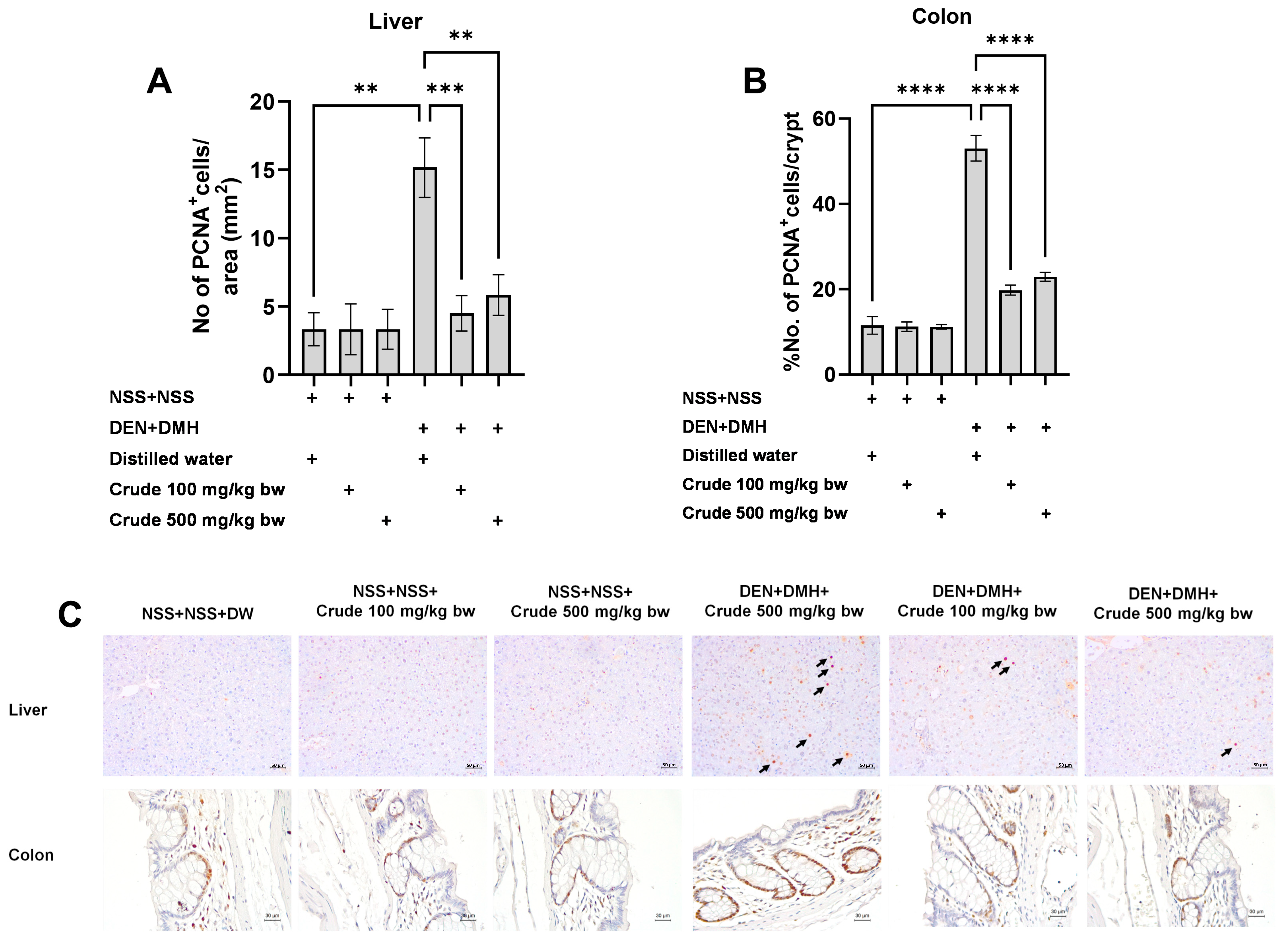 Pharmaceuticals 17 00818 g004