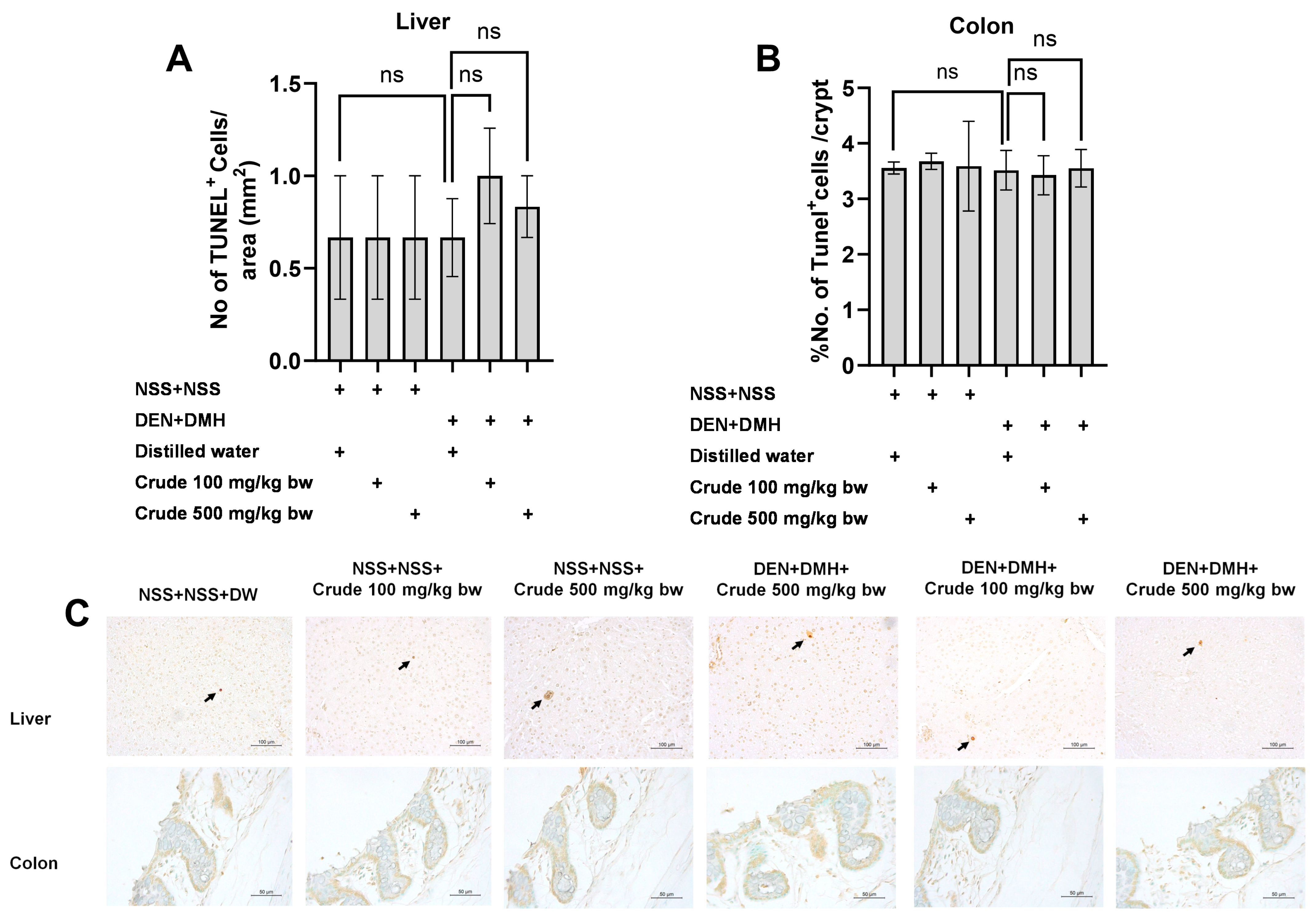 Pharmaceuticals 17 00818 g005