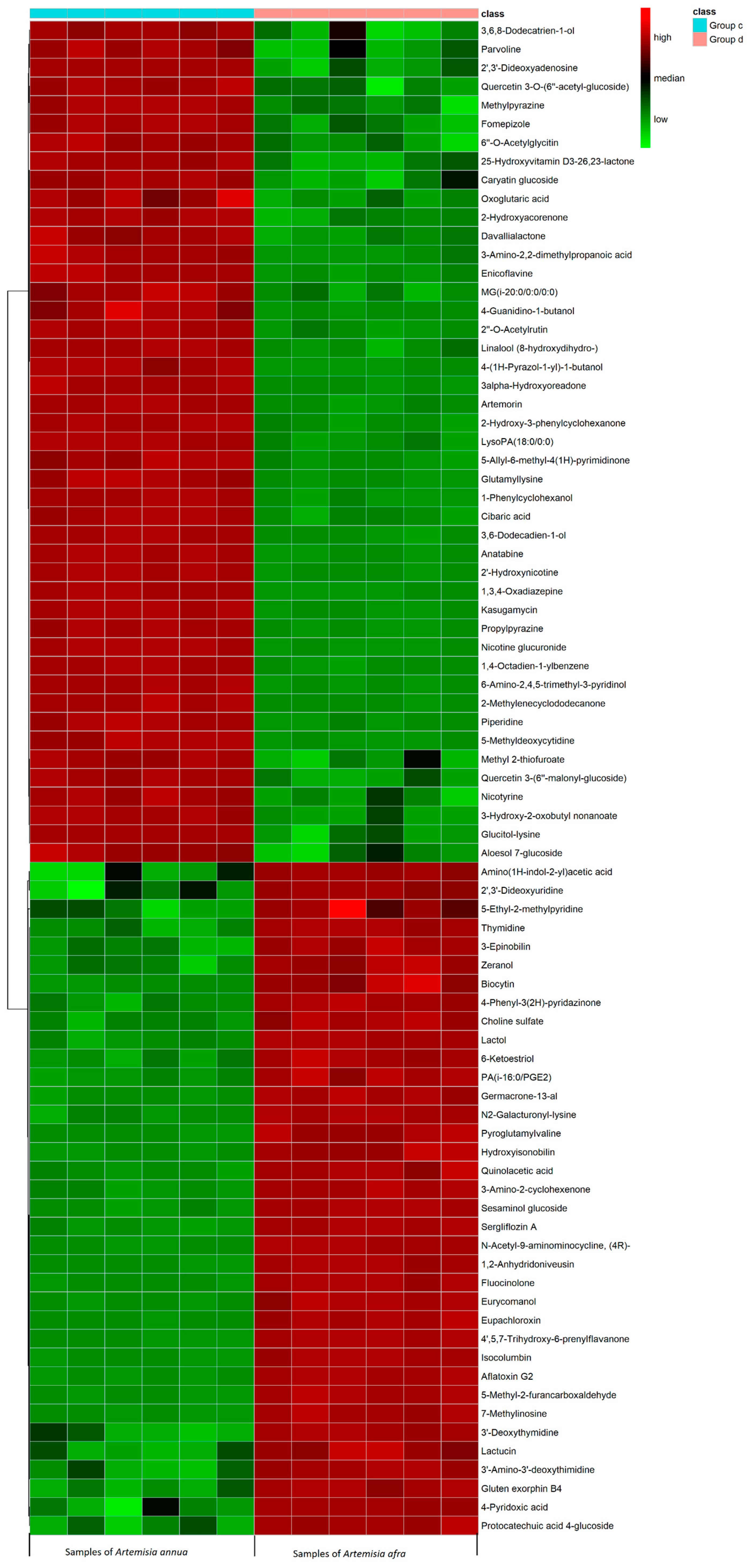 Pharmaceuticals 17 00821 g007