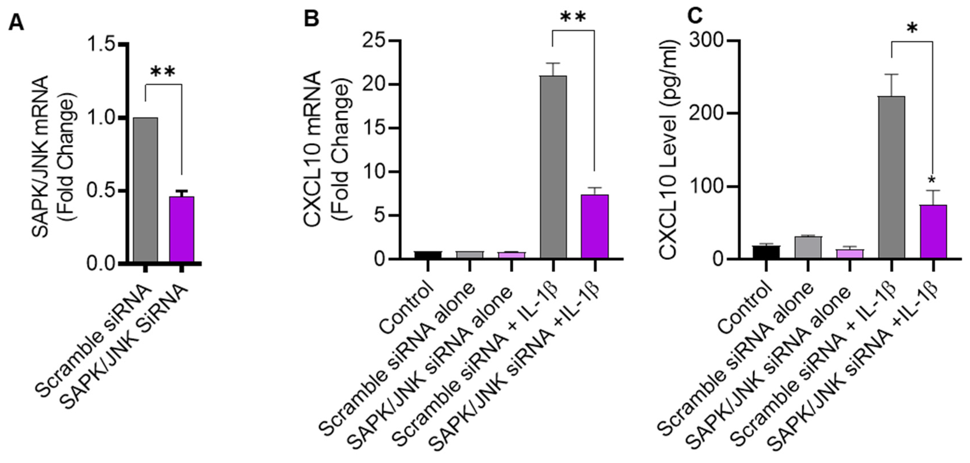 Pharmaceuticals 17 00823 g003