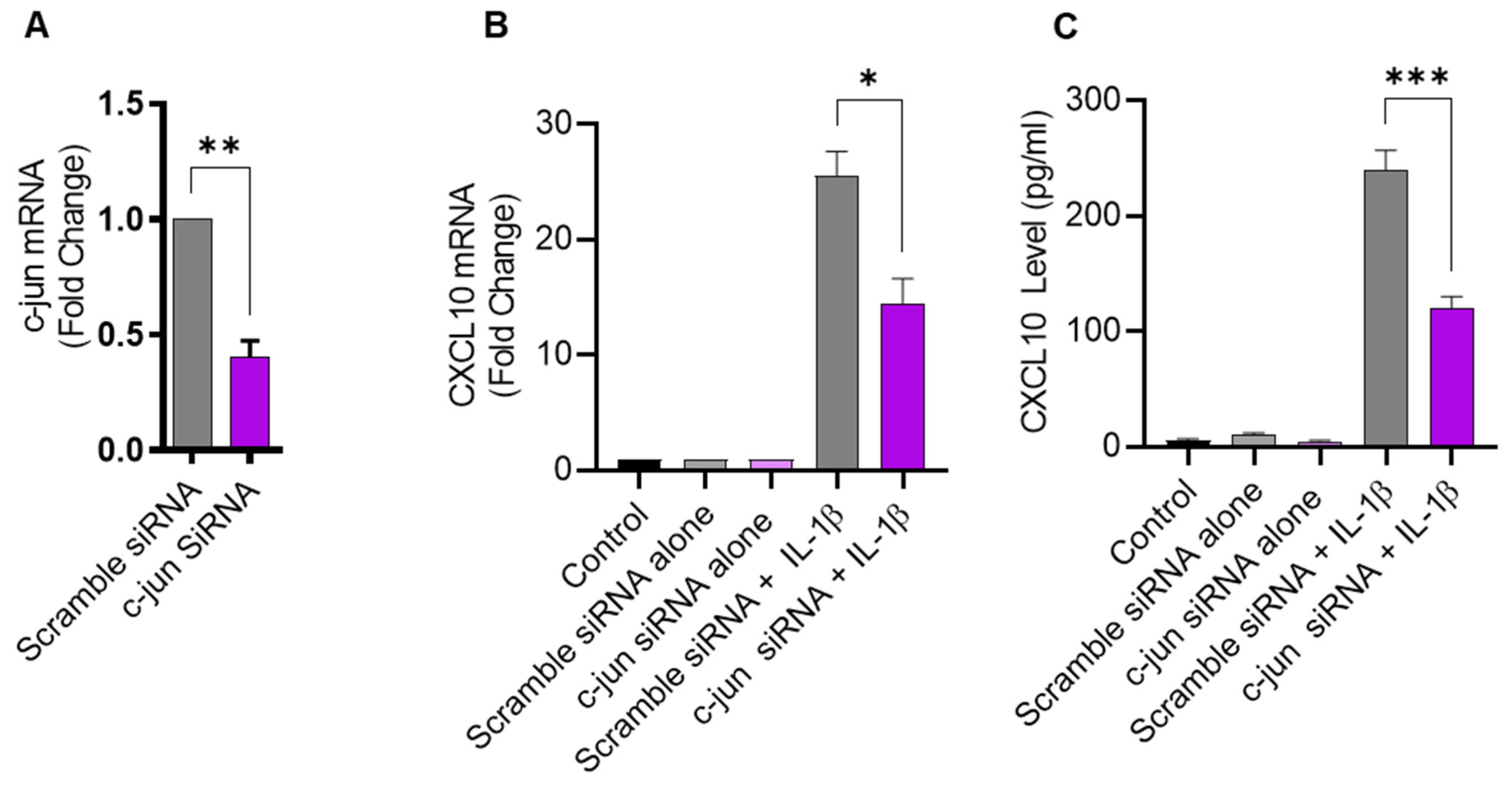 Pharmaceuticals 17 00823 g004