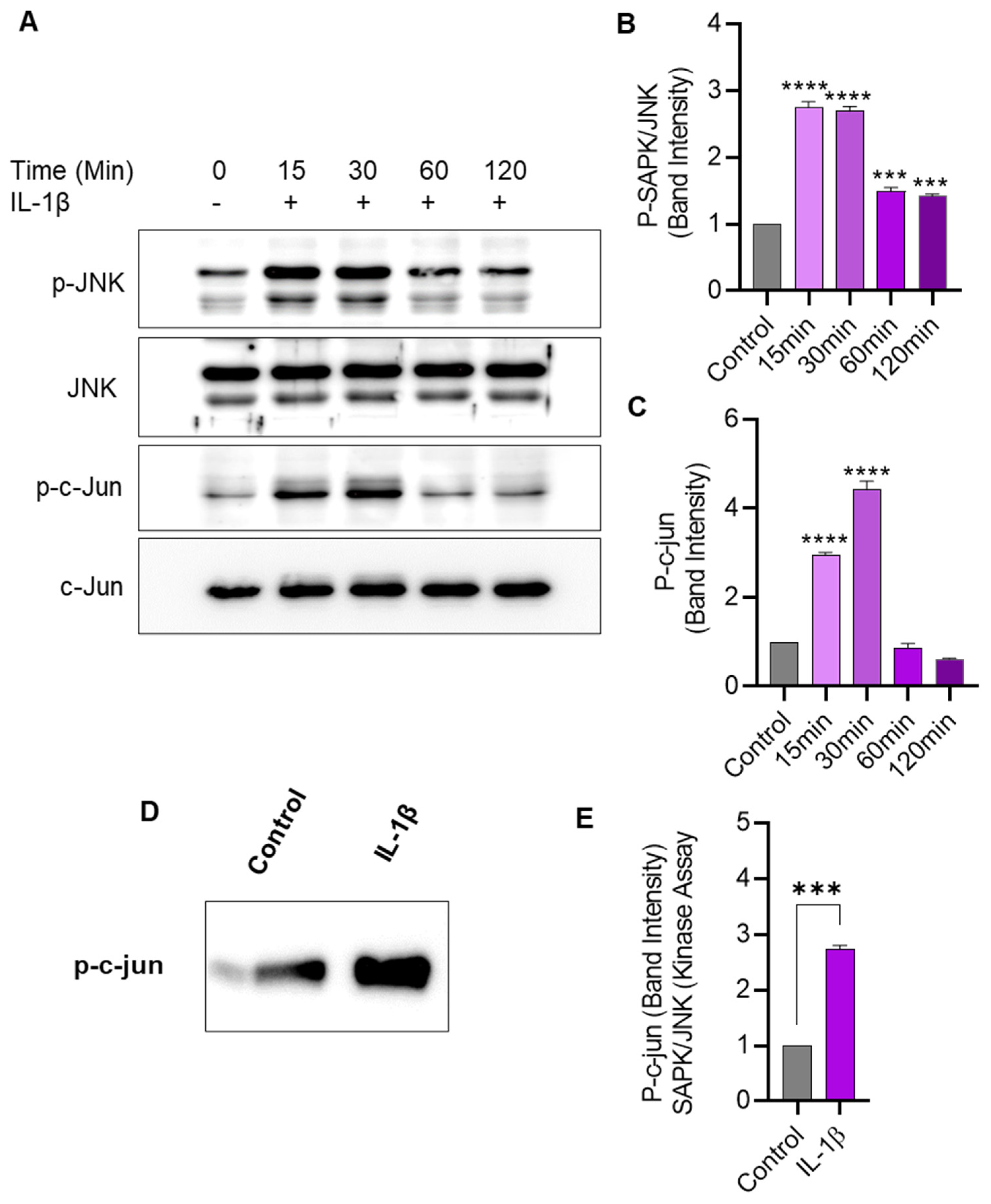 Pharmaceuticals 17 00823 g005