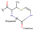 Pharmaceuticals 17 00845 i008