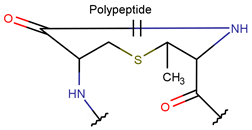 Pharmaceuticals 17 00845 i010