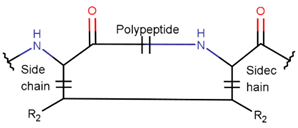 Pharmaceuticals 17 00845 i038